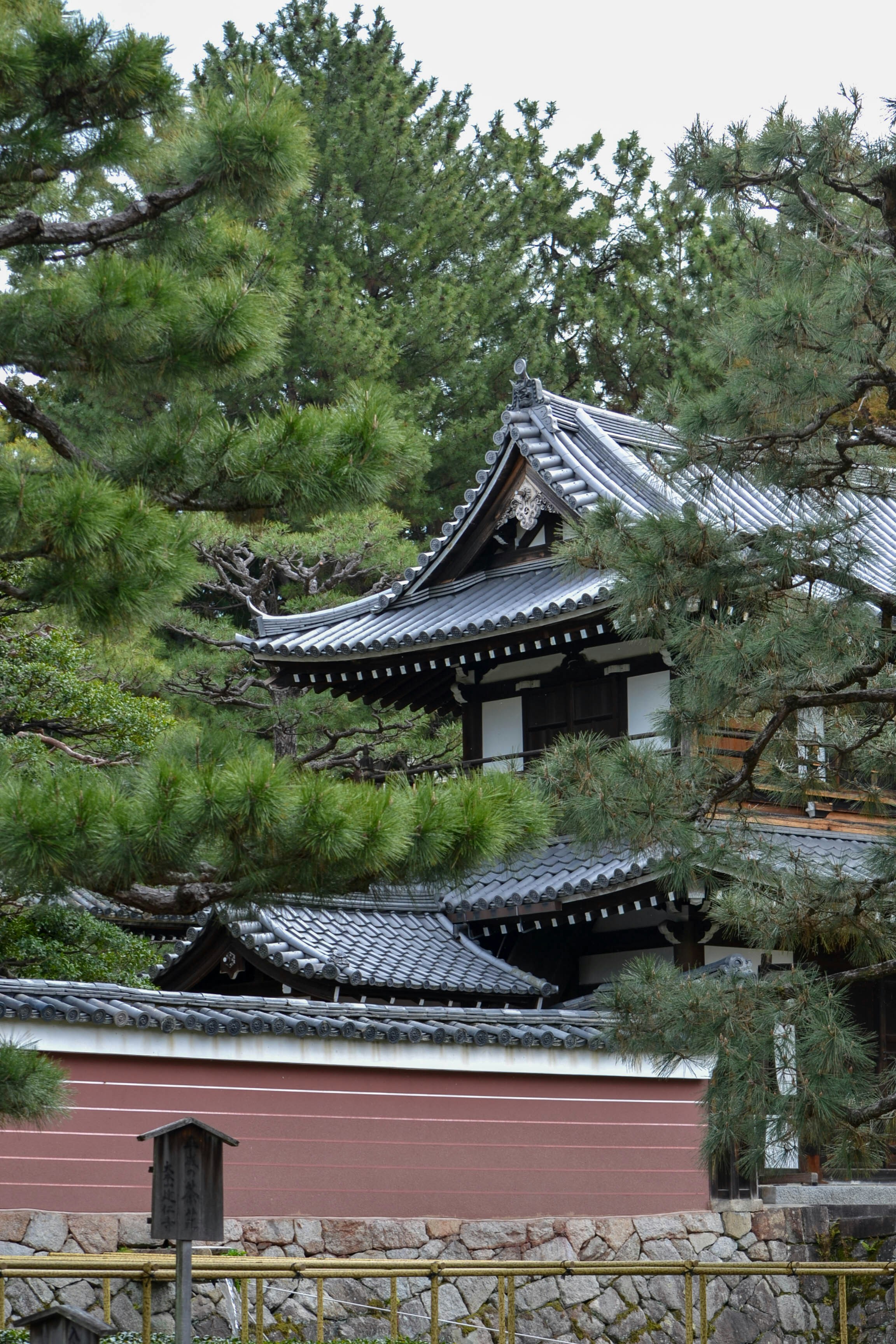 Photo by nachoestevo