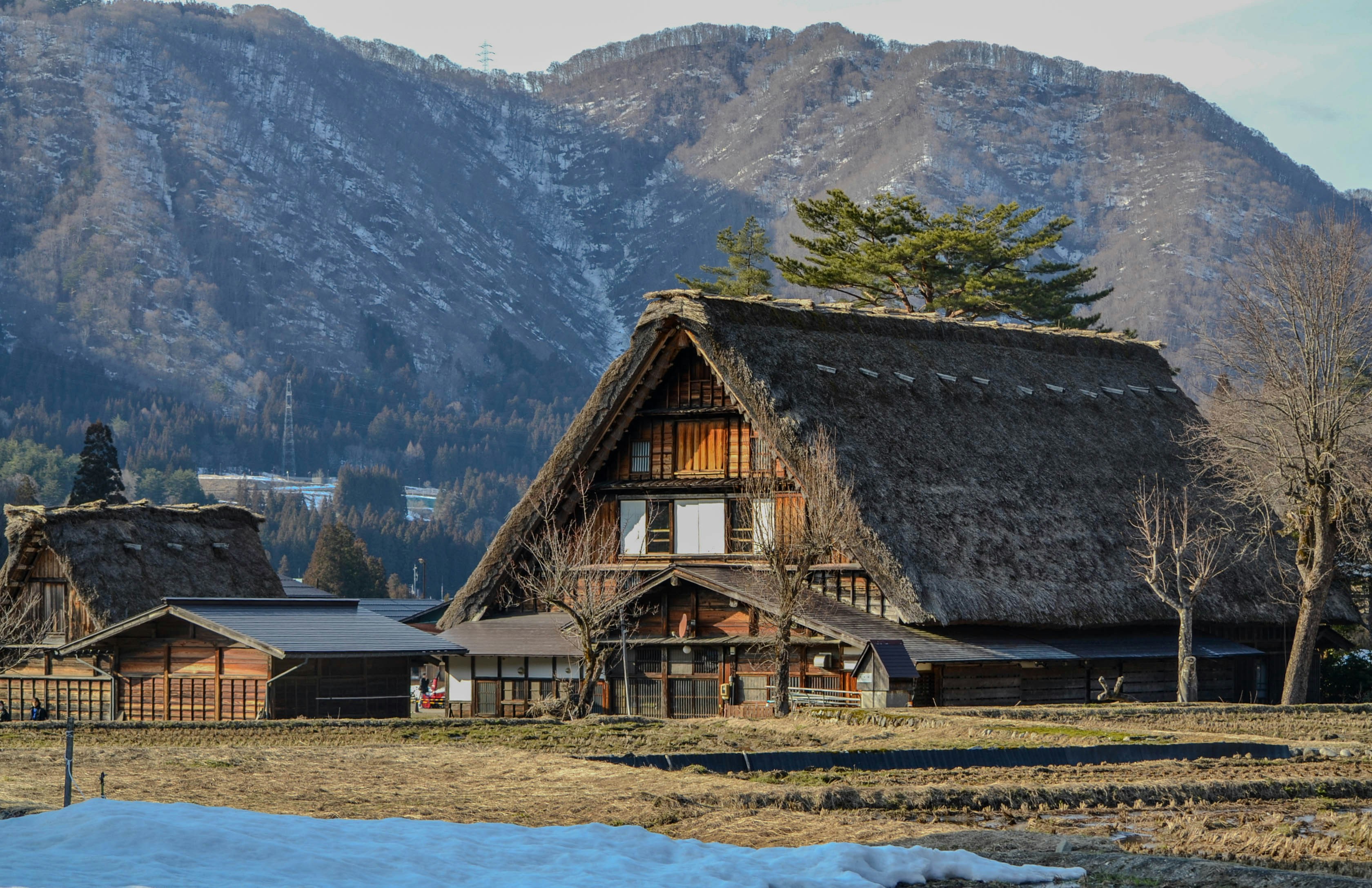 Traditional thatched roof houses in a snowy mountain village.
