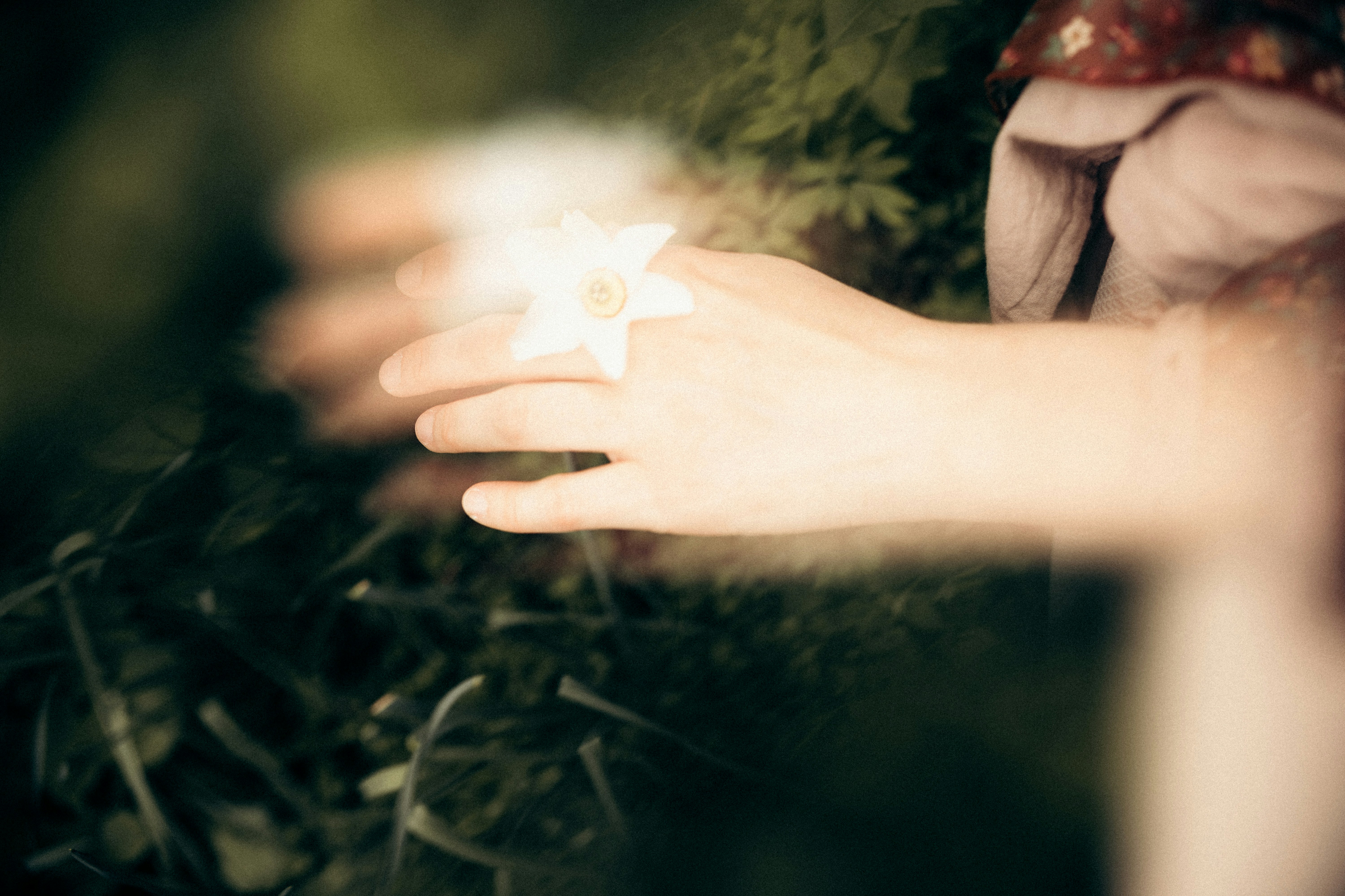 Photo by cherstve_pechivo