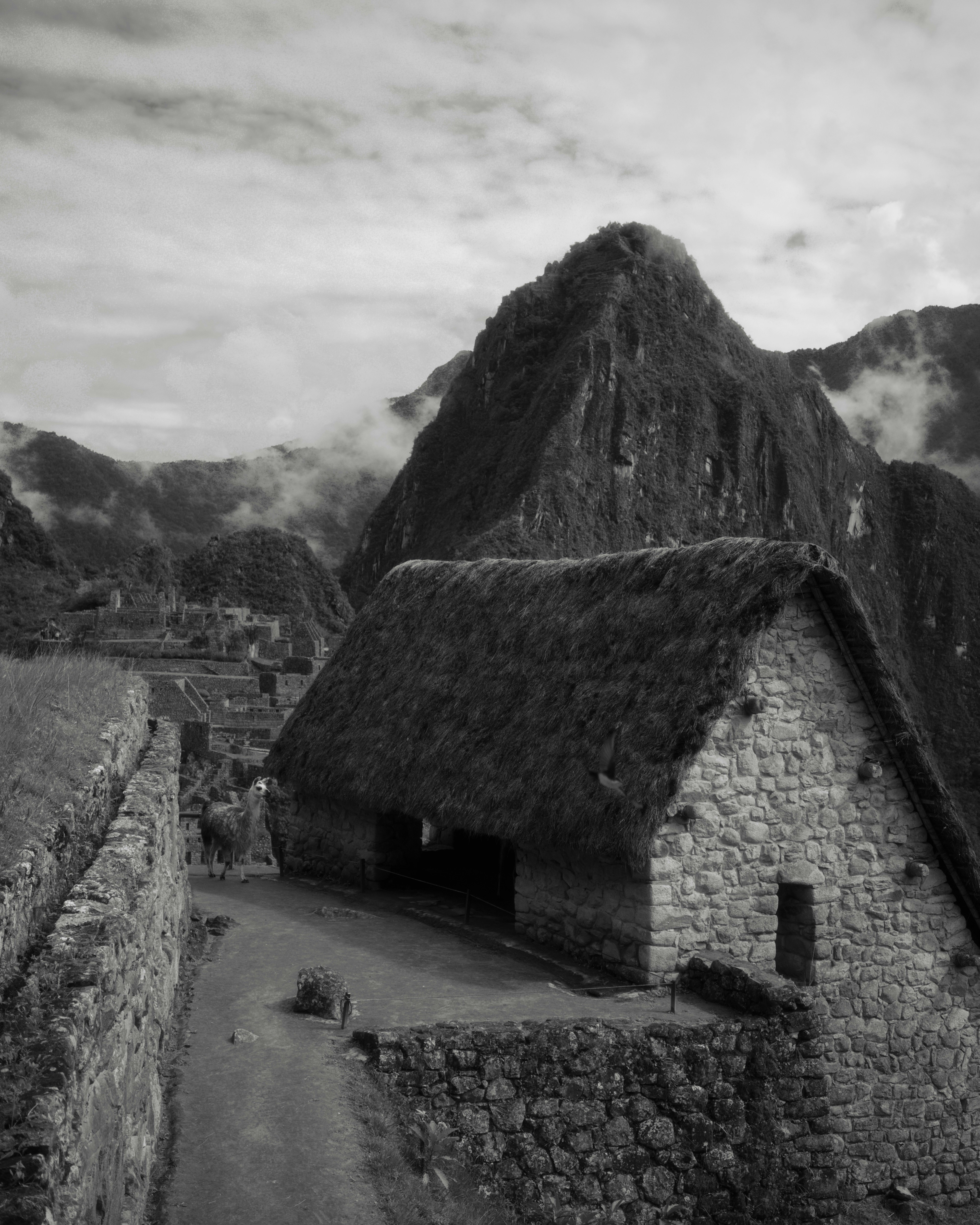 Stone building with thatched roof at machu picchu
