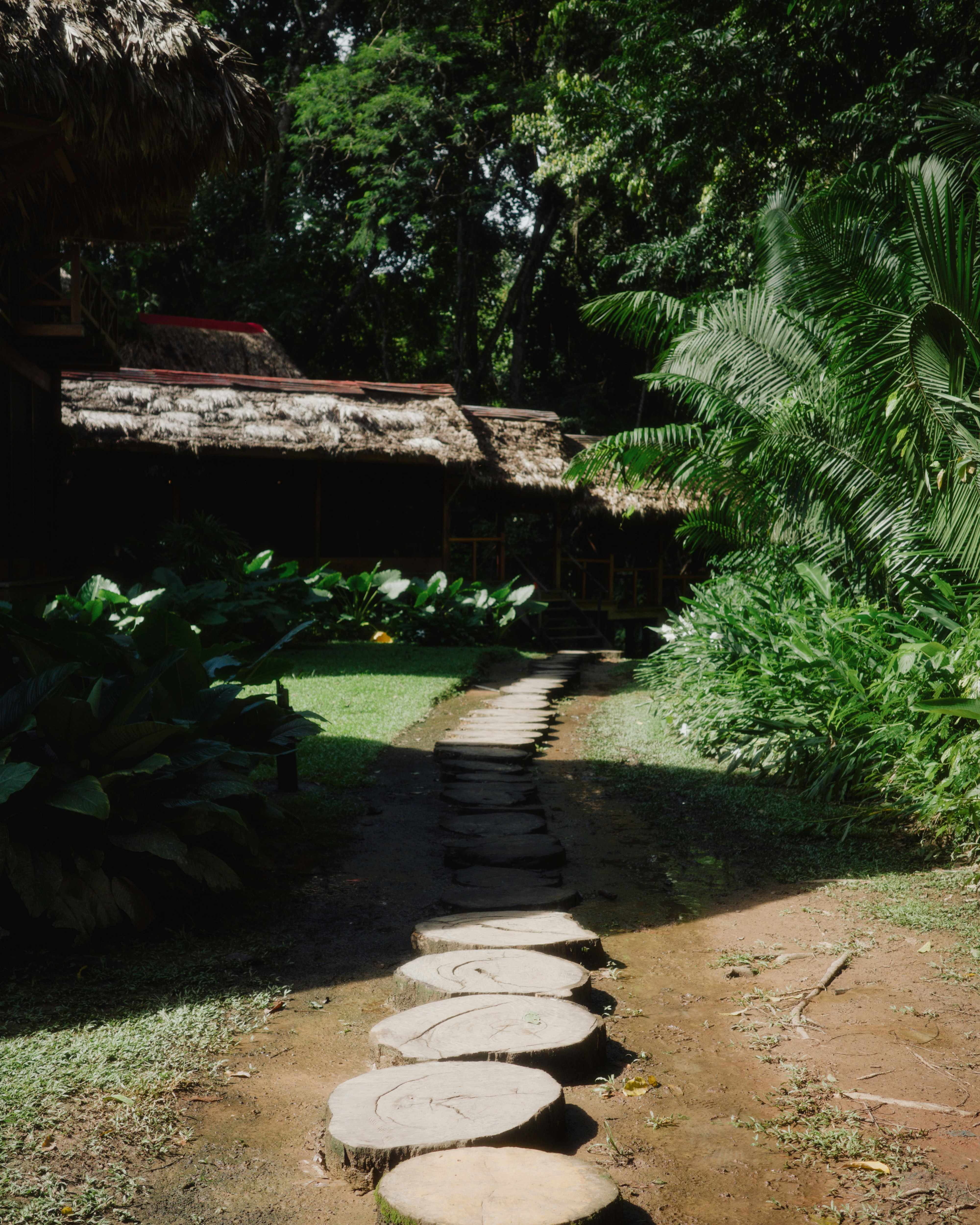 A stone path leads through a lush tropical garden.