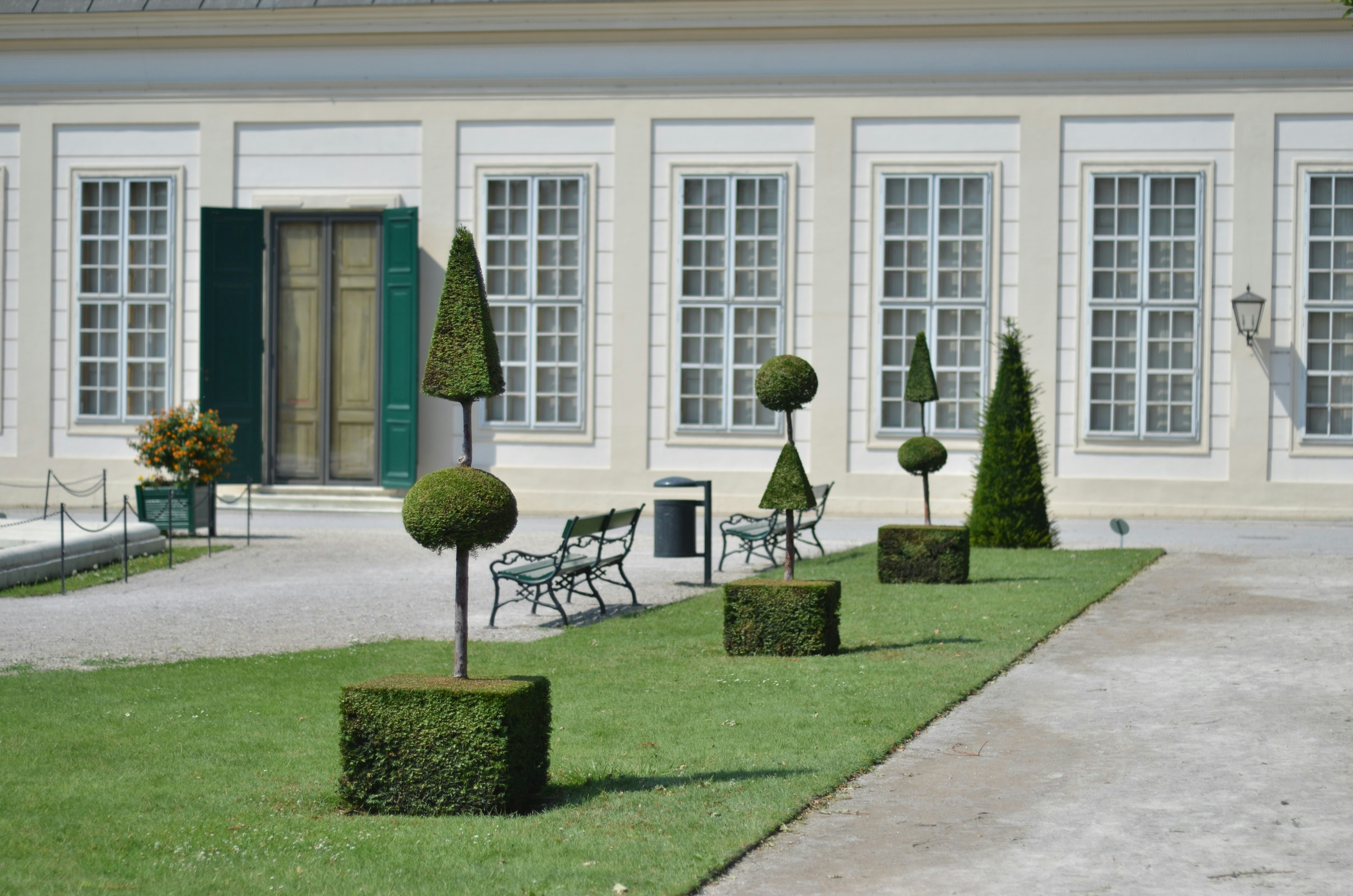 Alberi topiari in un giardino formale con edificio