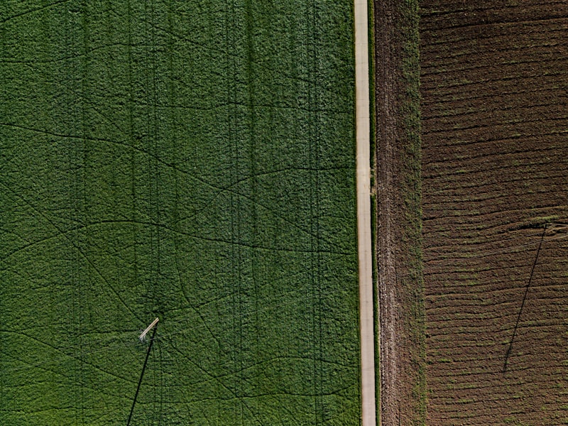 Agricultural