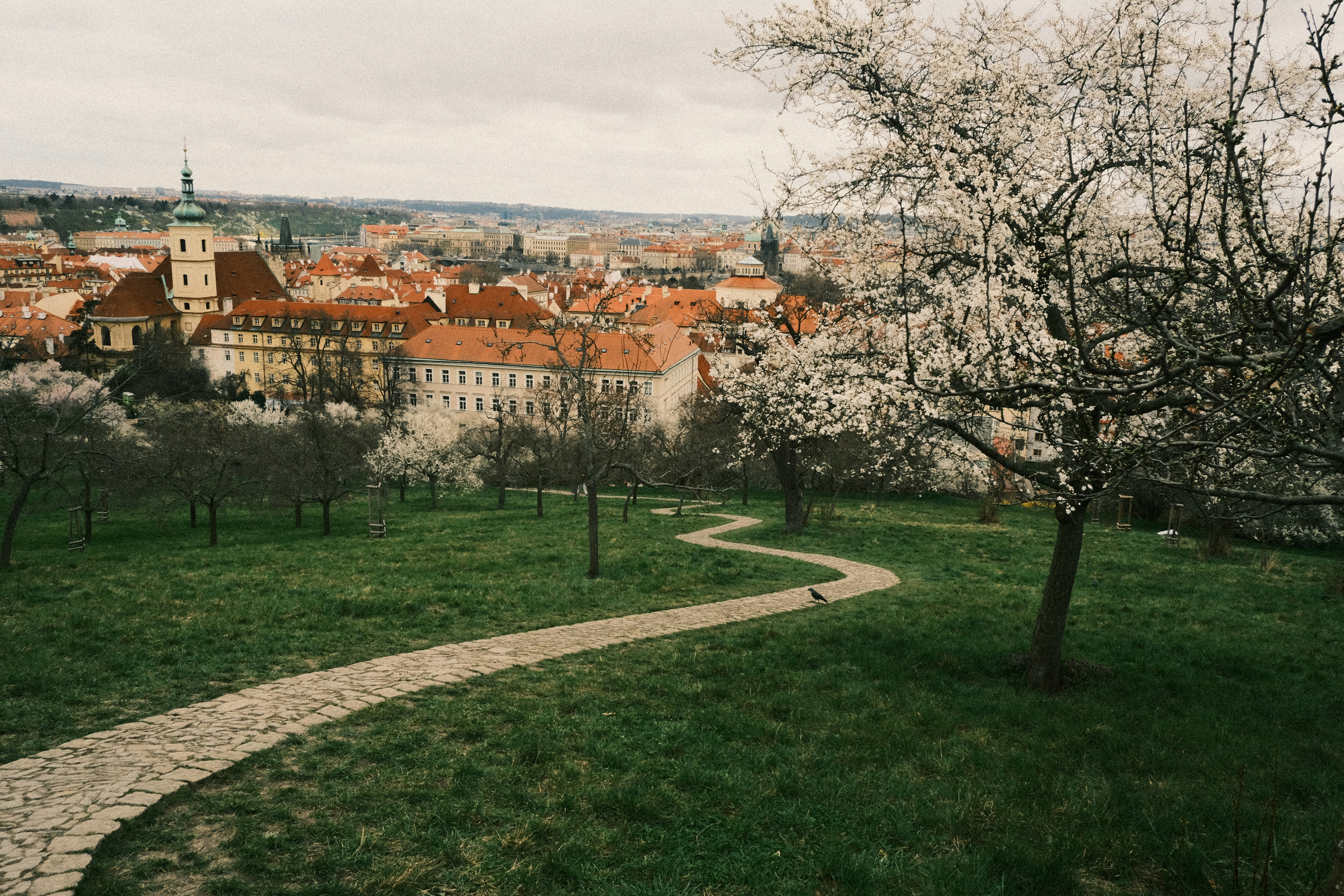 Stone path winds through a park with city view.