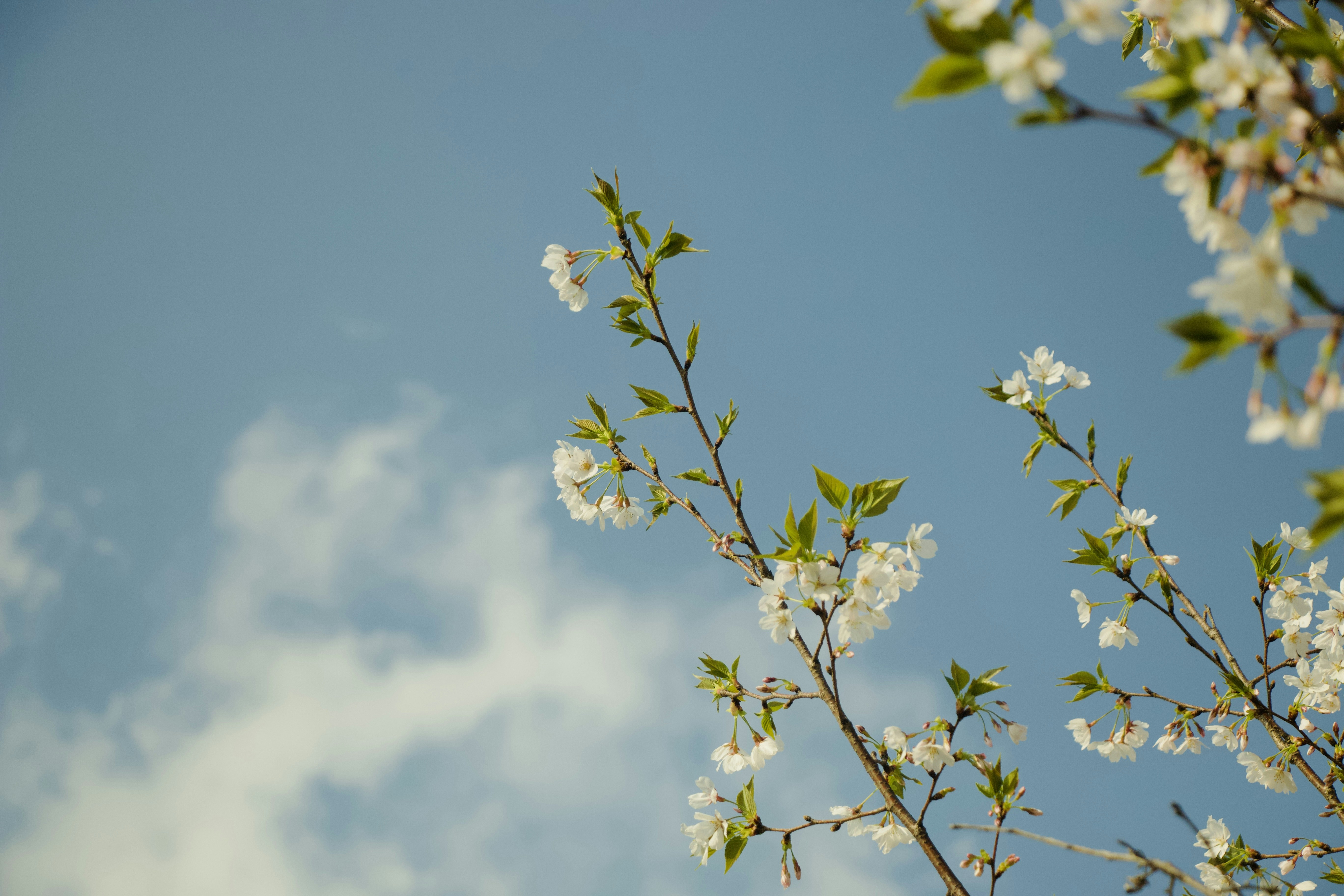 Photo by feifeiliang