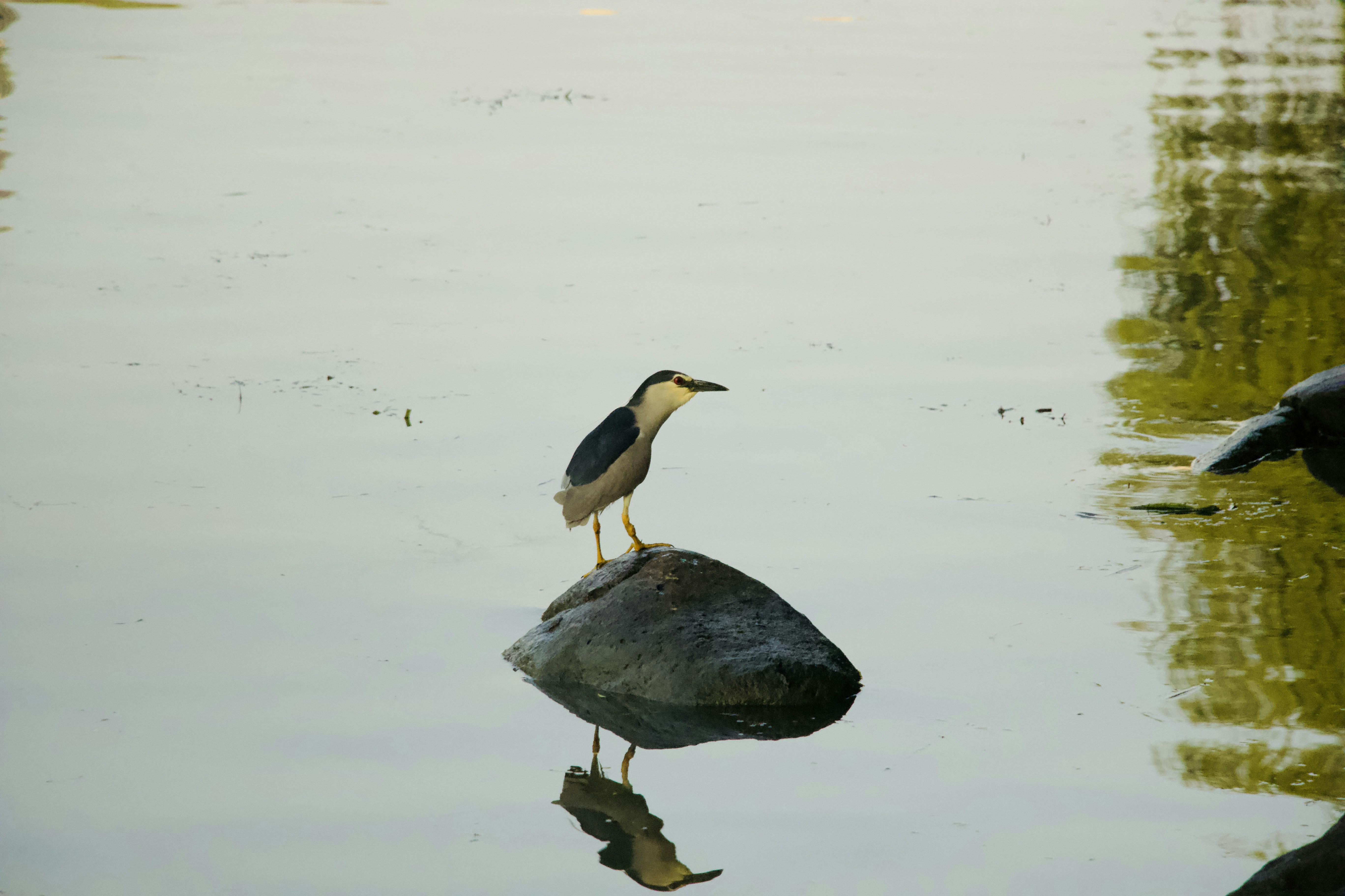 Photo by feifeiliang