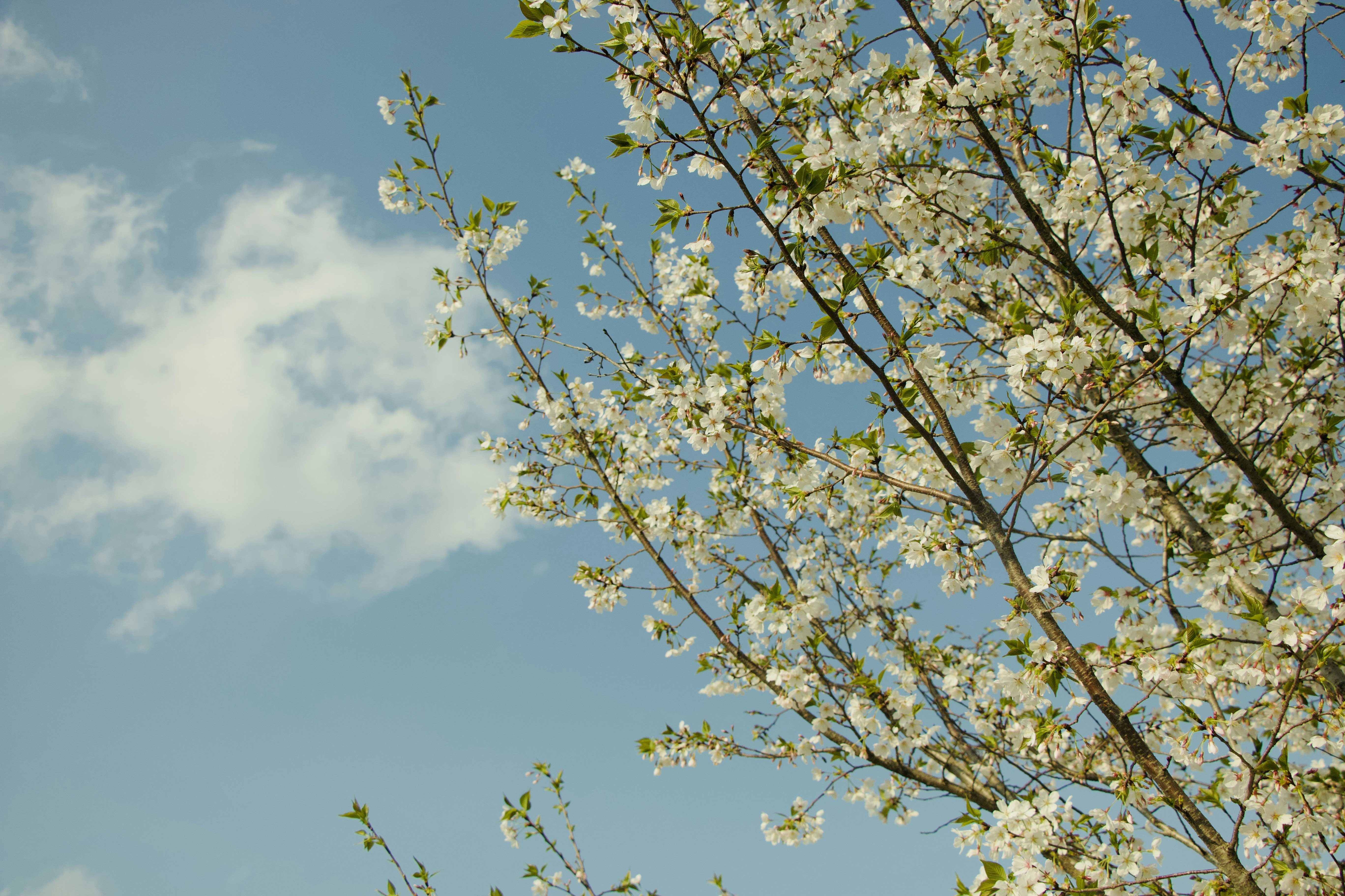 Photo by feifeiliang