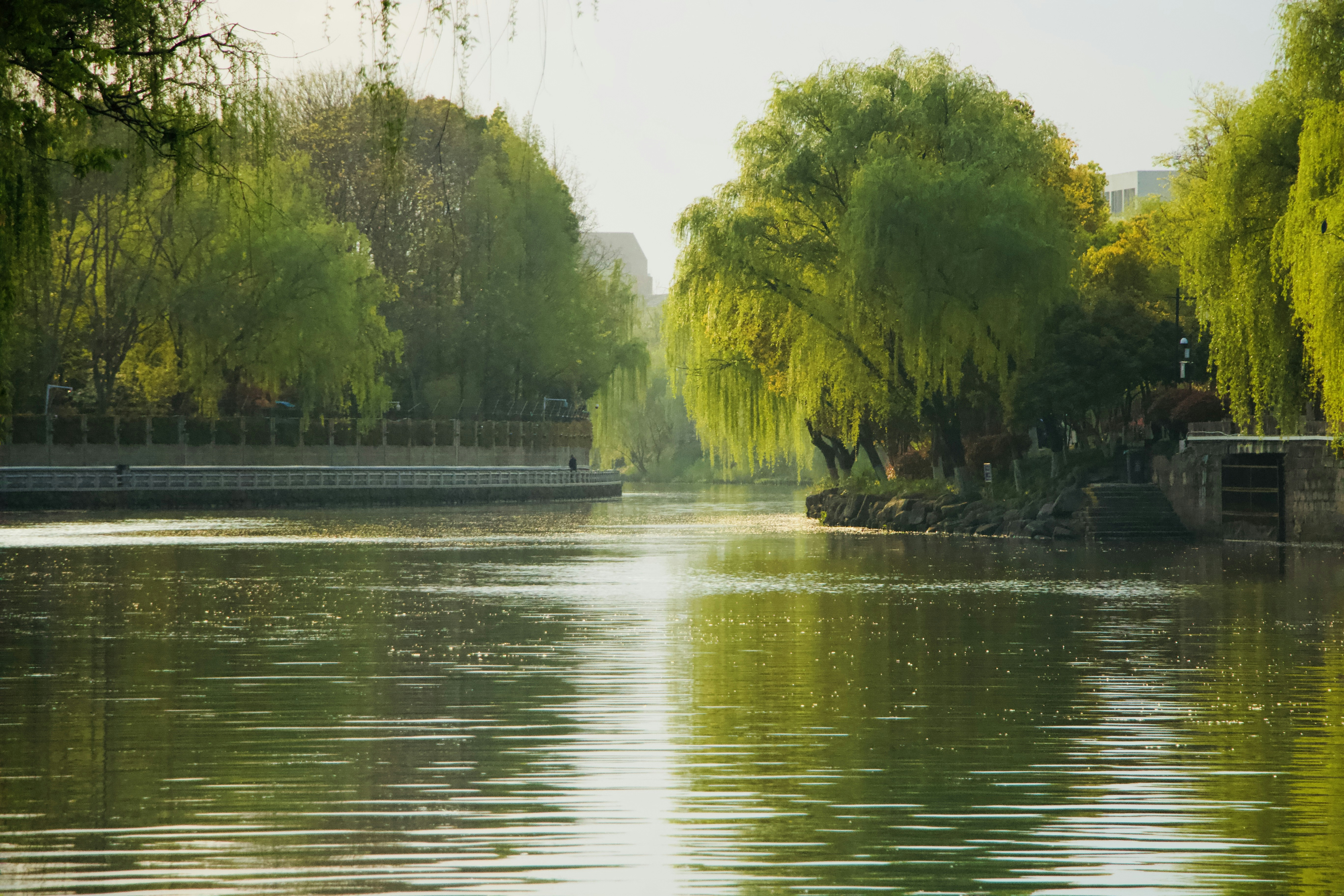 Photo by feifeiliang