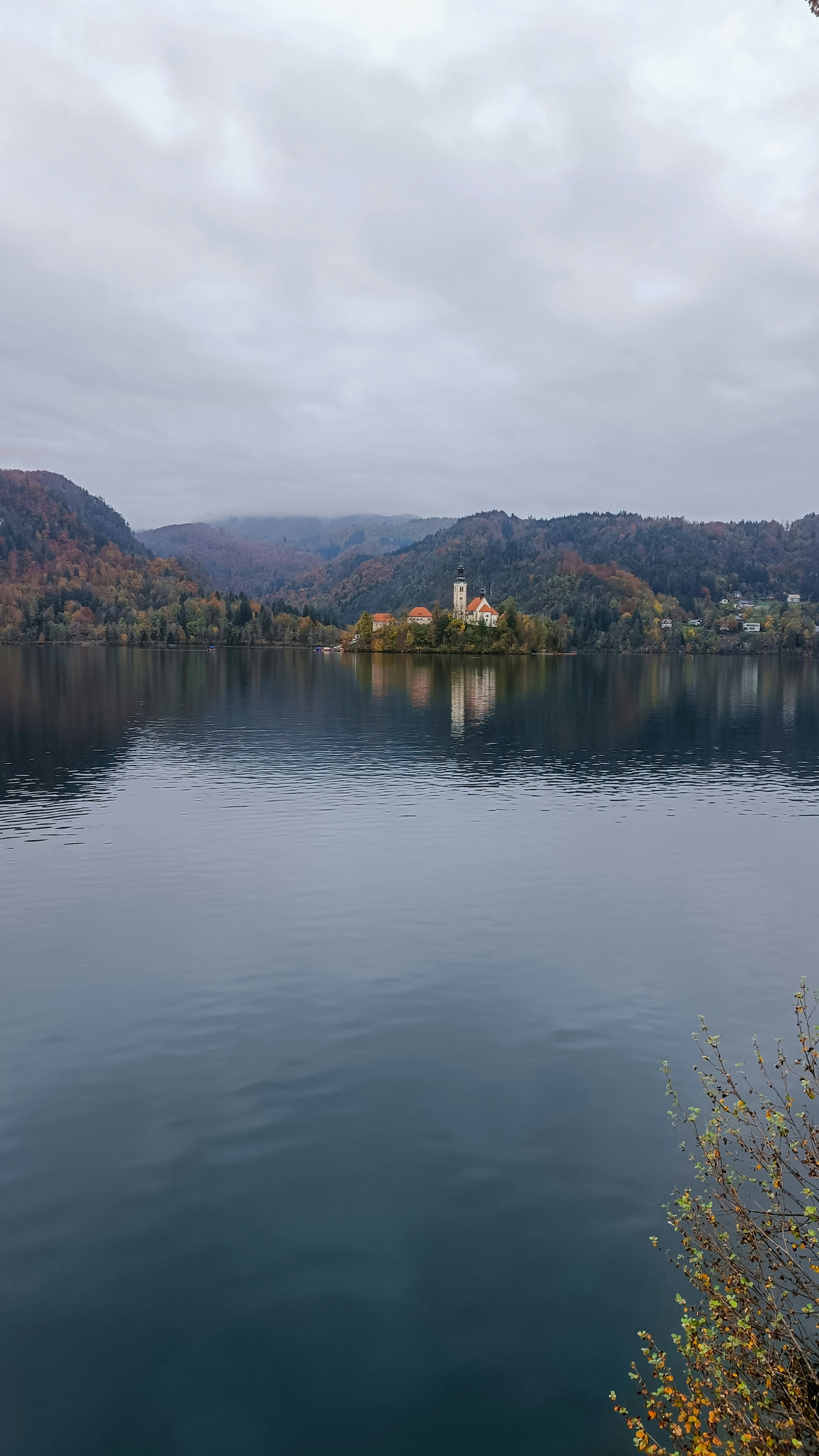 Photo by albrune
