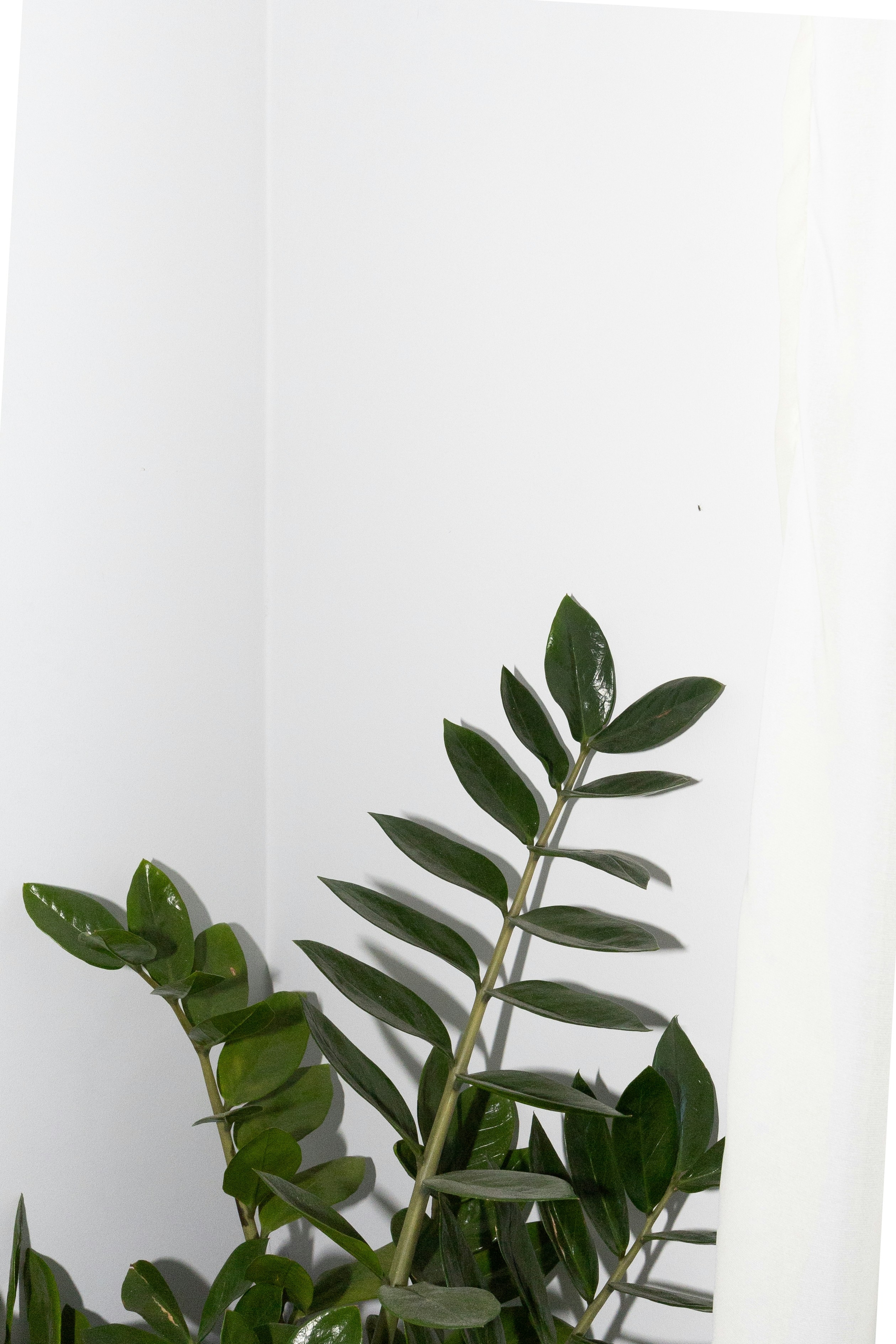 Photo by elenagolubeva