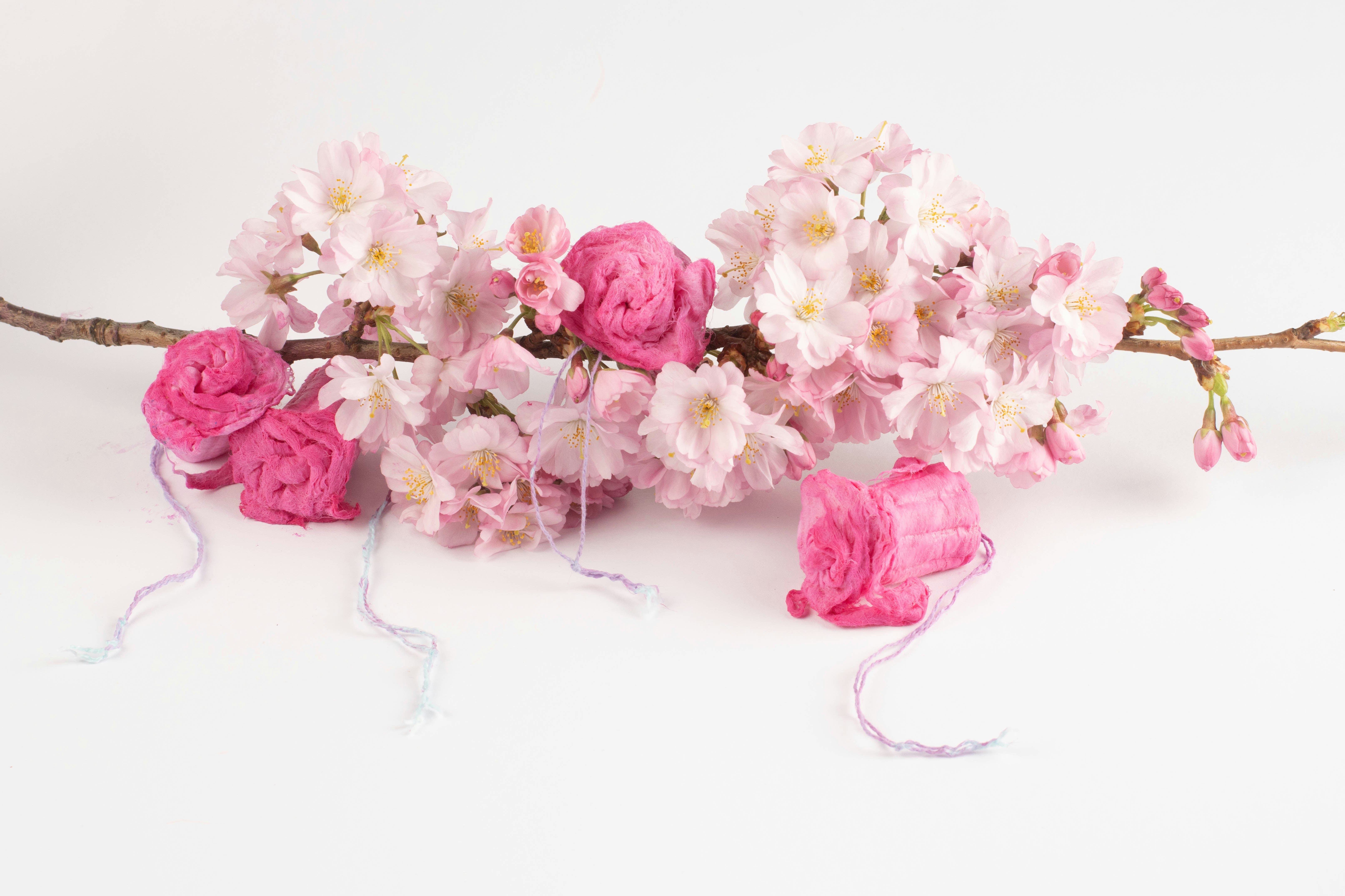 Pink cherry blossoms and roses on a branch
