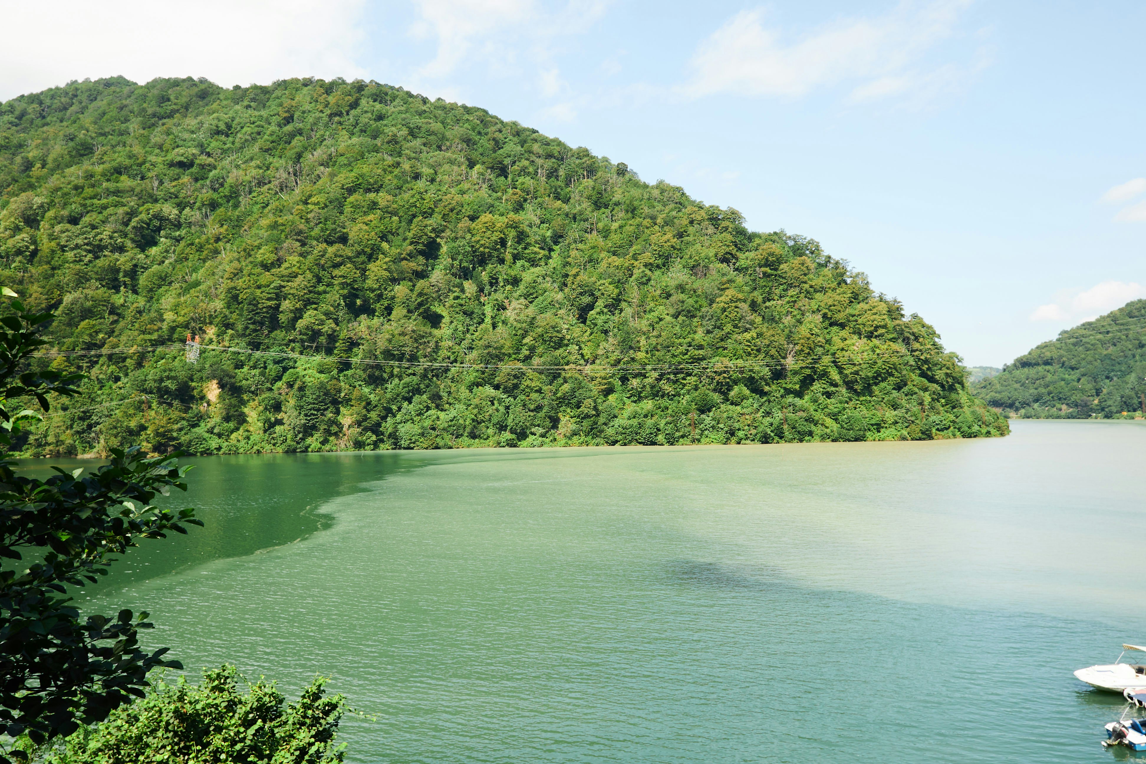 Photo by elenagolubeva