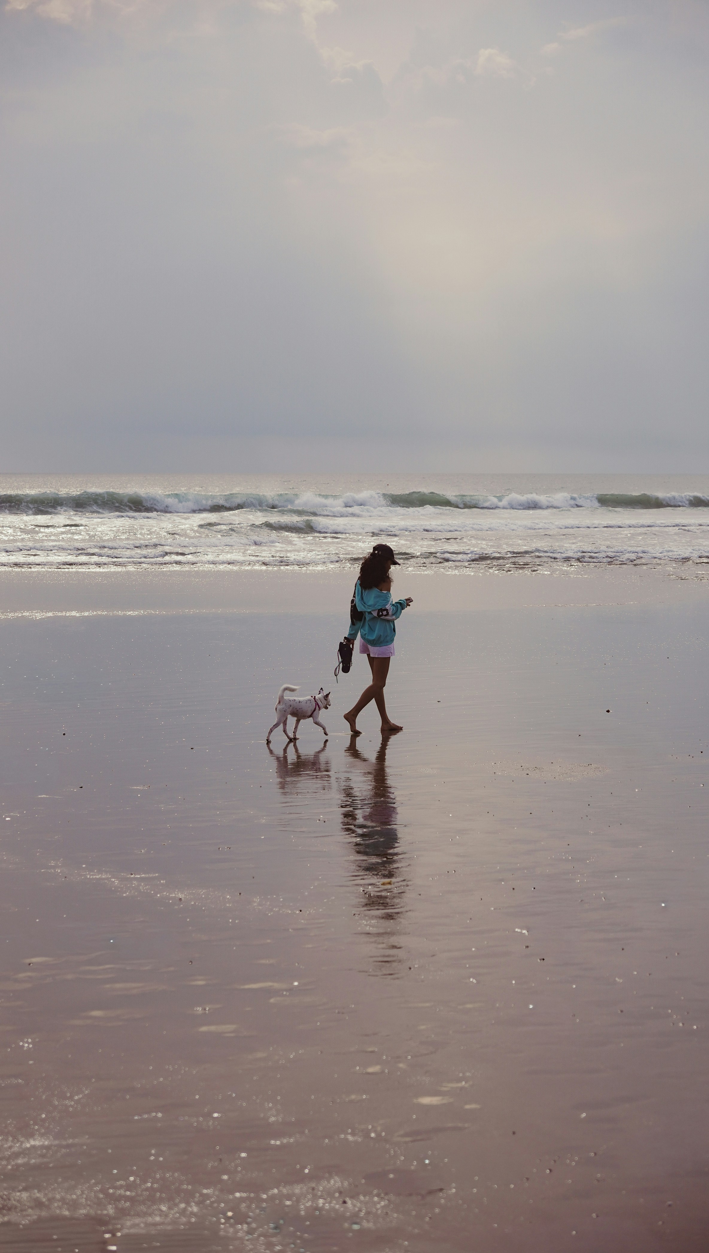 Woman walking dog on wet beach sand at sunset