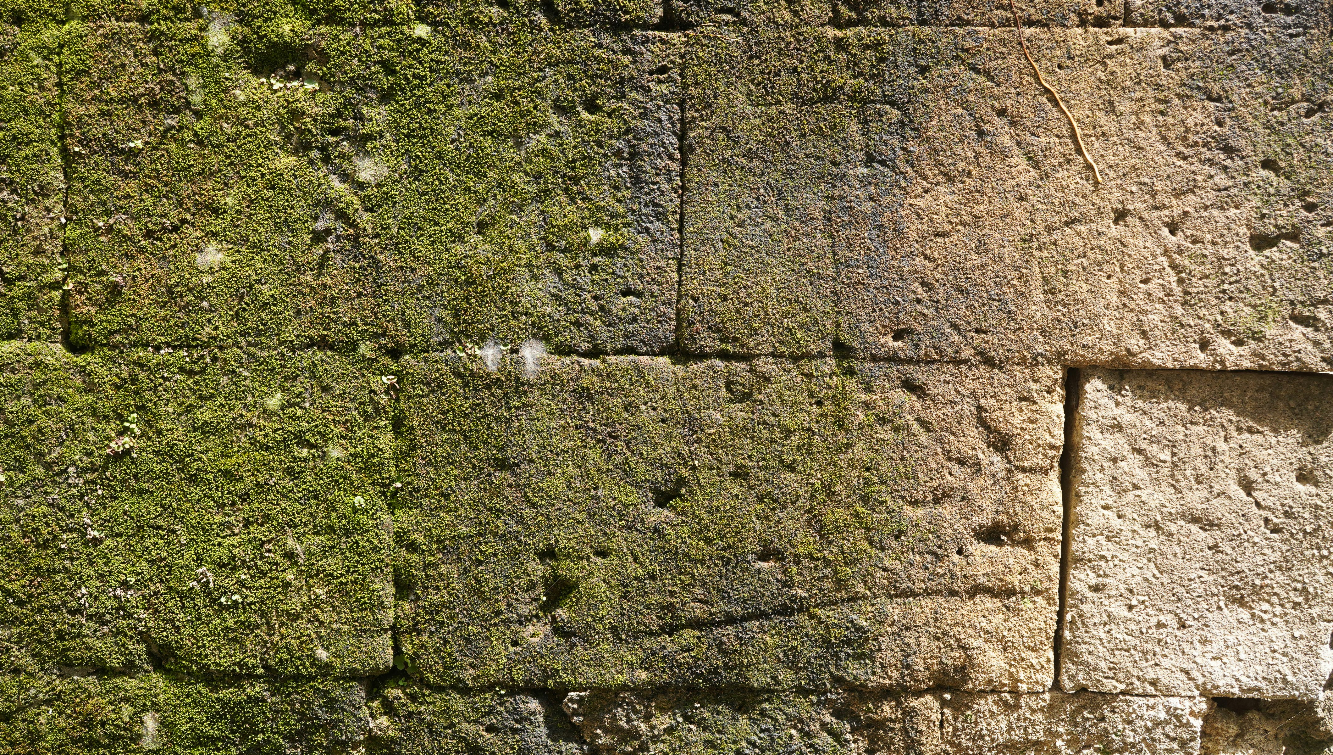 苔むした石壁で粗い質感