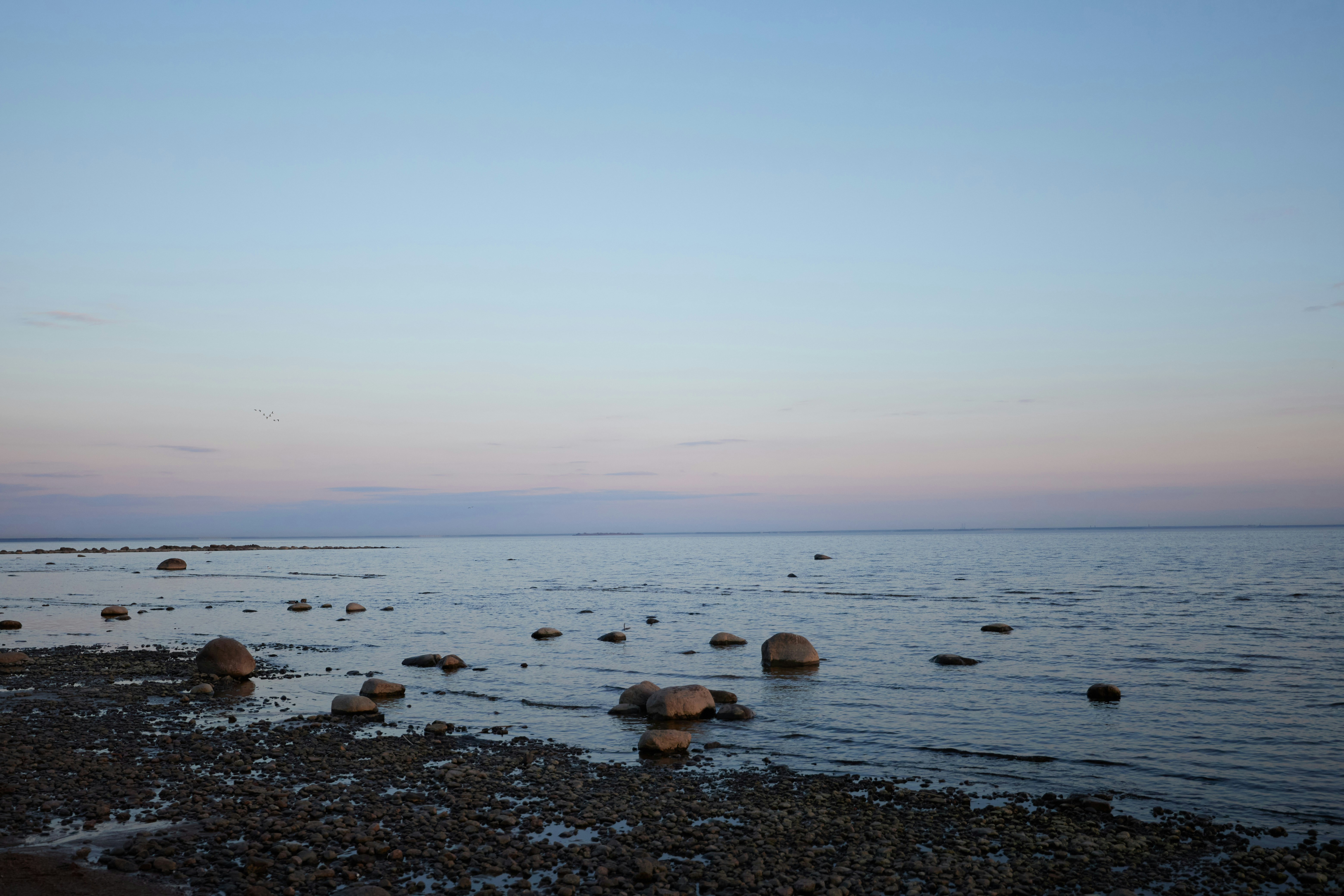 Photo by elenagolubeva