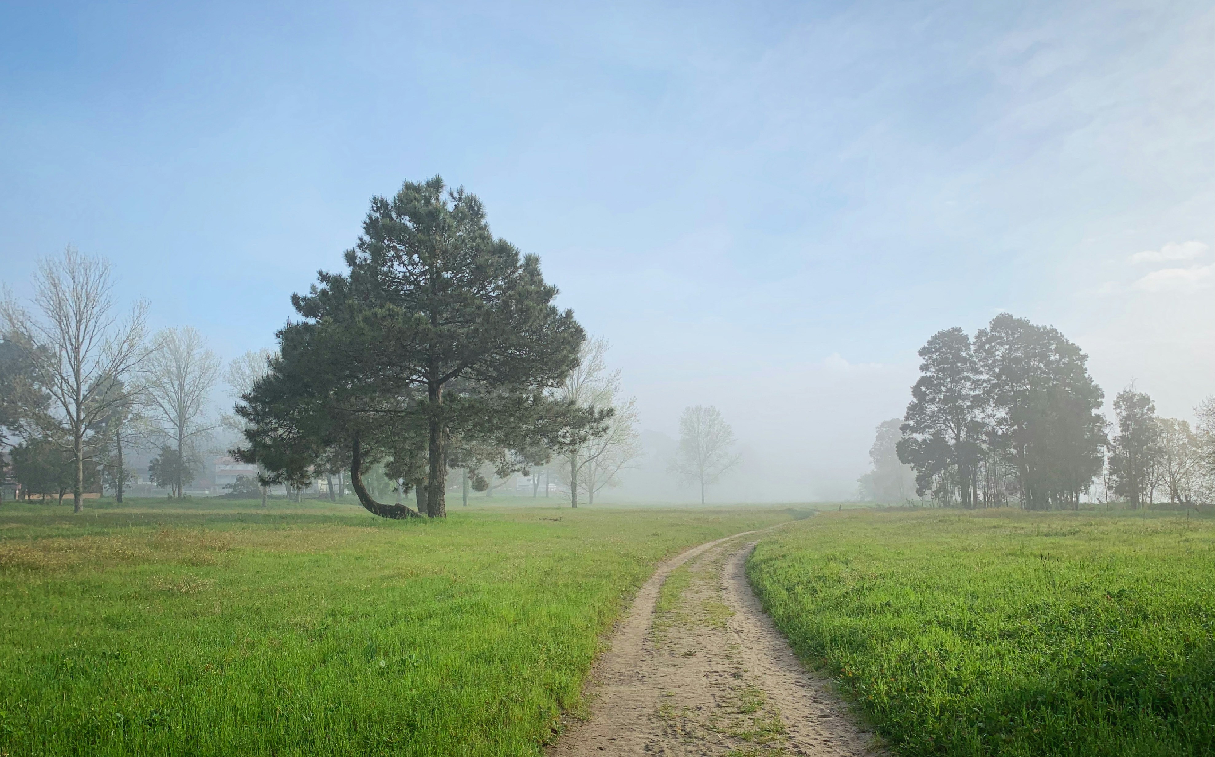 Photo by sergei_gussev