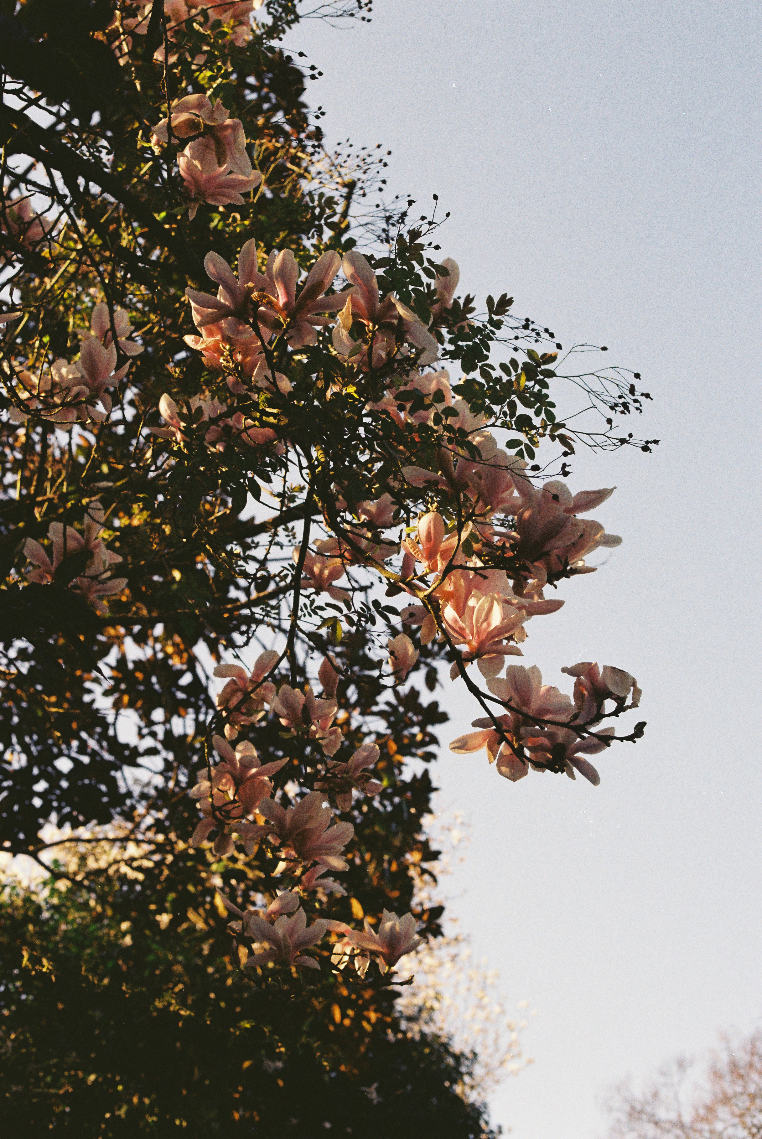 Photo by tanyabarrow