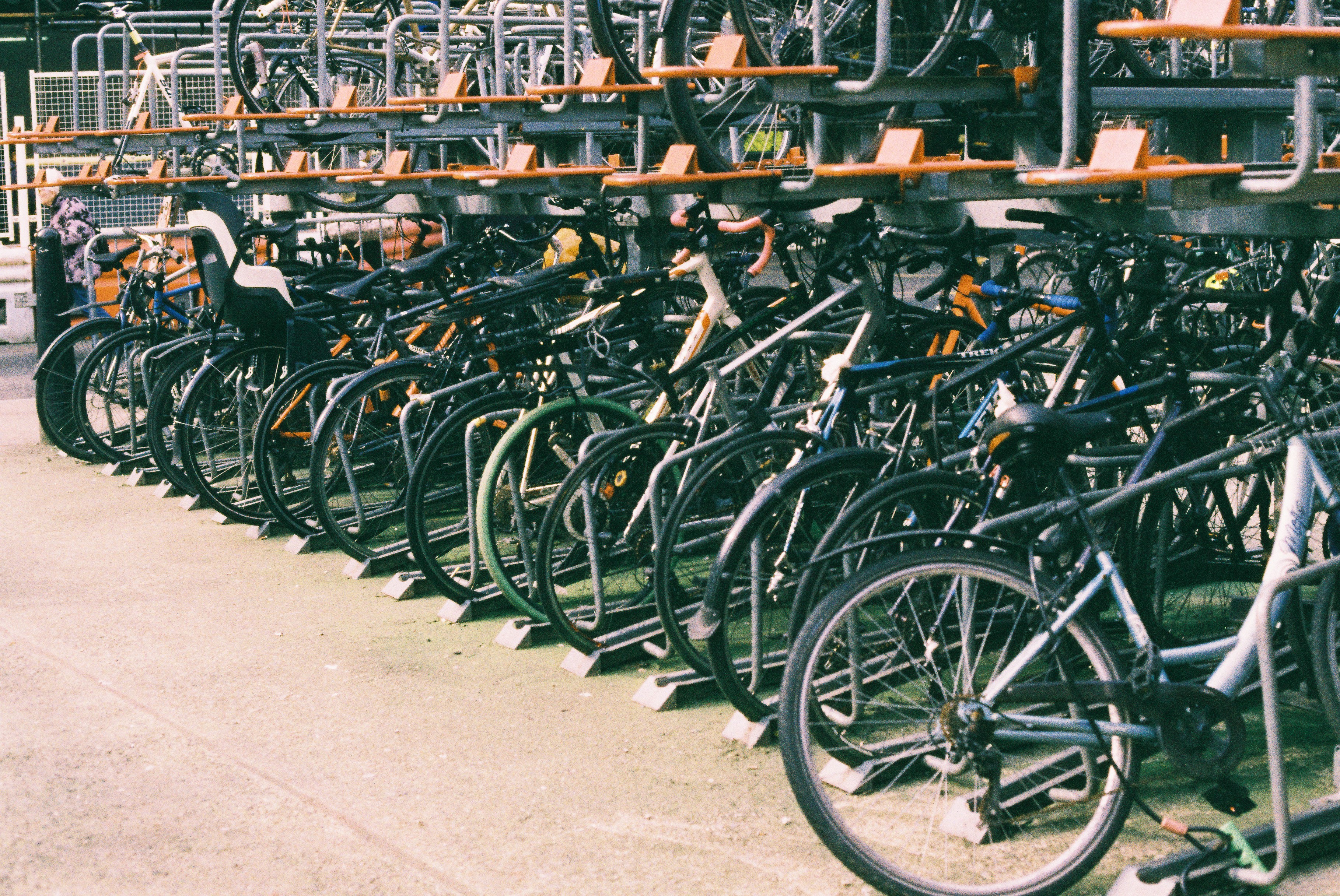 Photo by tanyabarrow