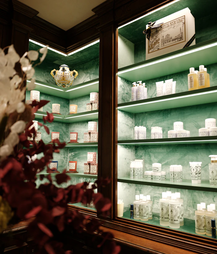Loose dried herbs and botanical remedies on a wooden apothecary counter