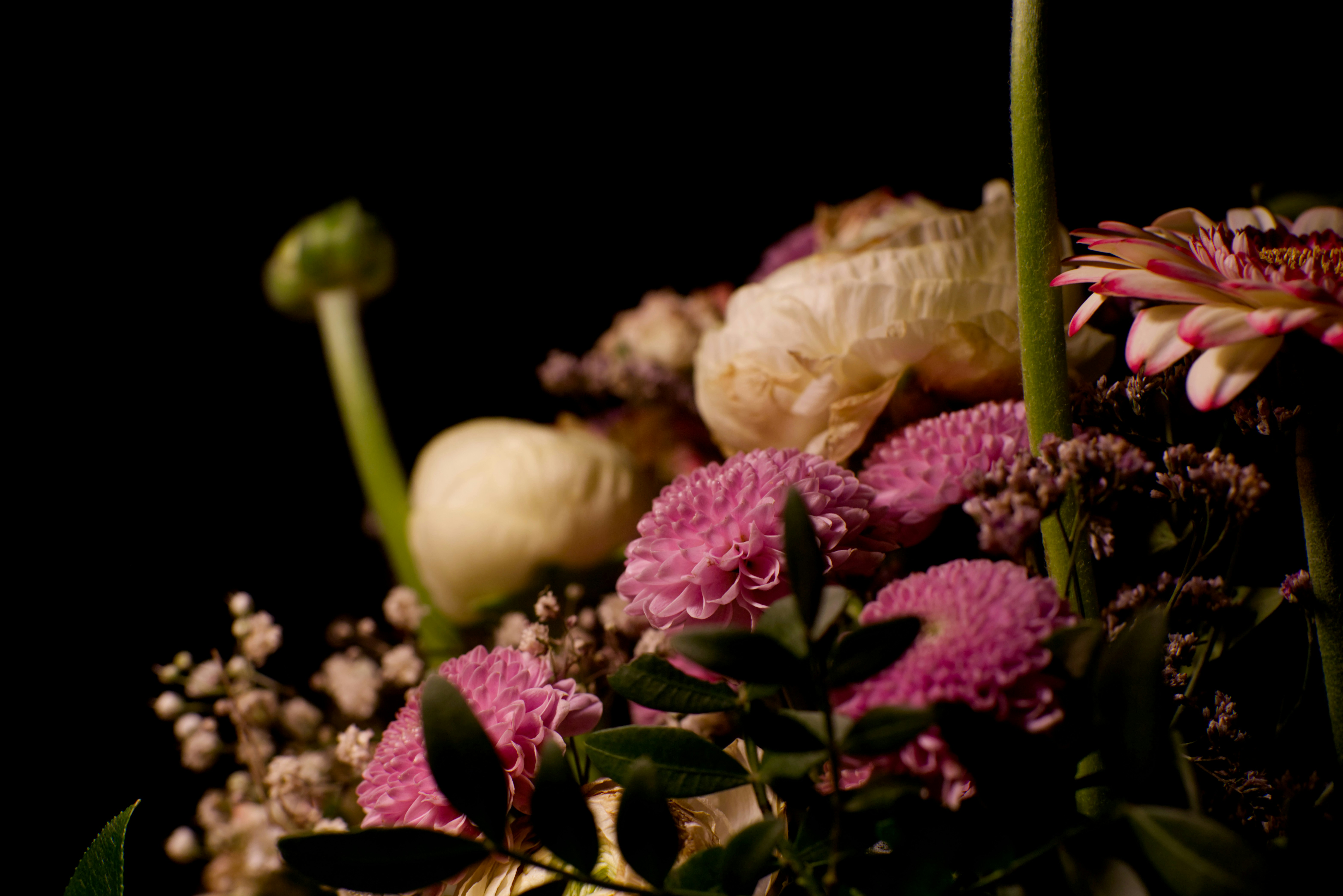 A close-up of a vibrant pink and white flower arrangement.
