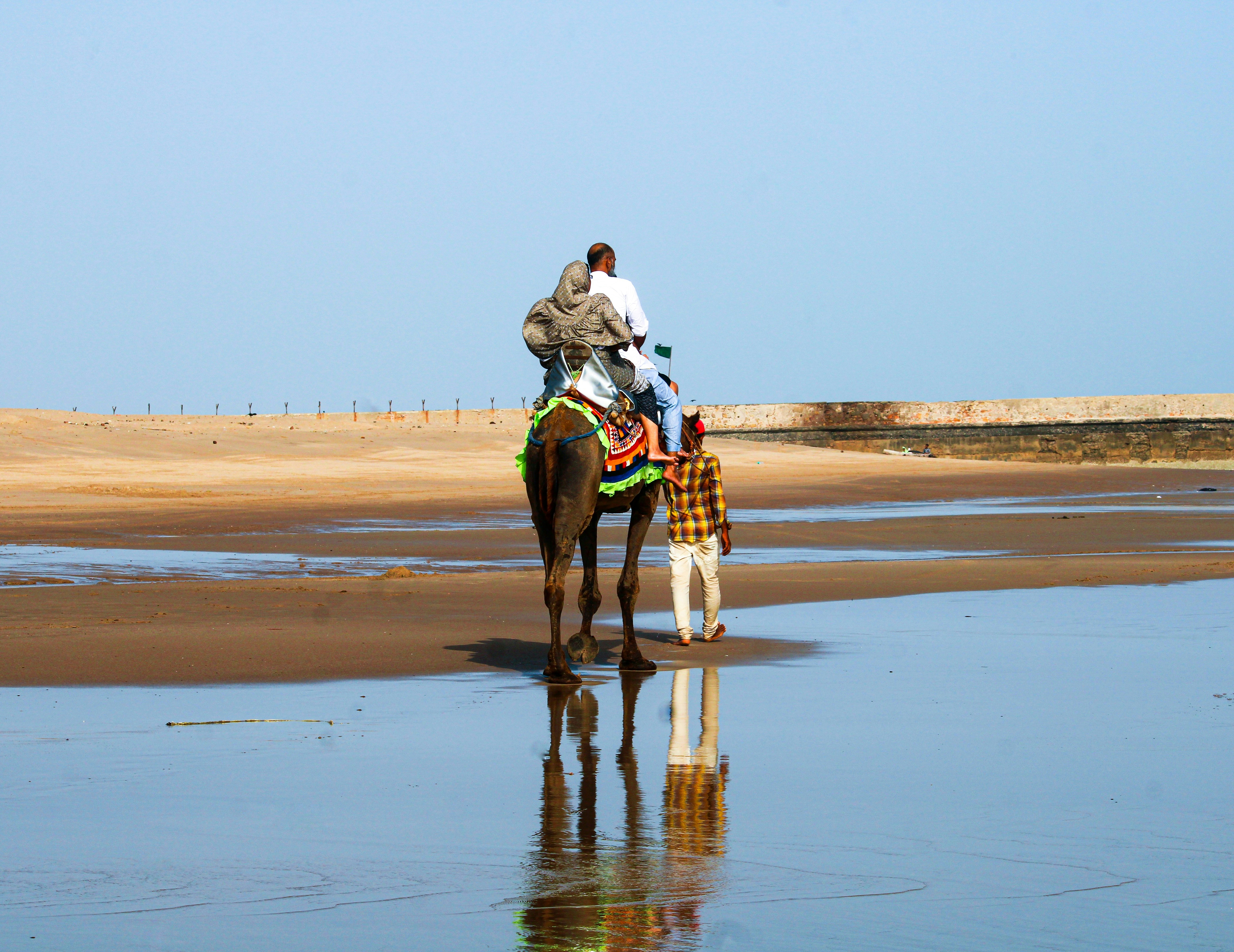 Man riding camel on wet sand with reflection