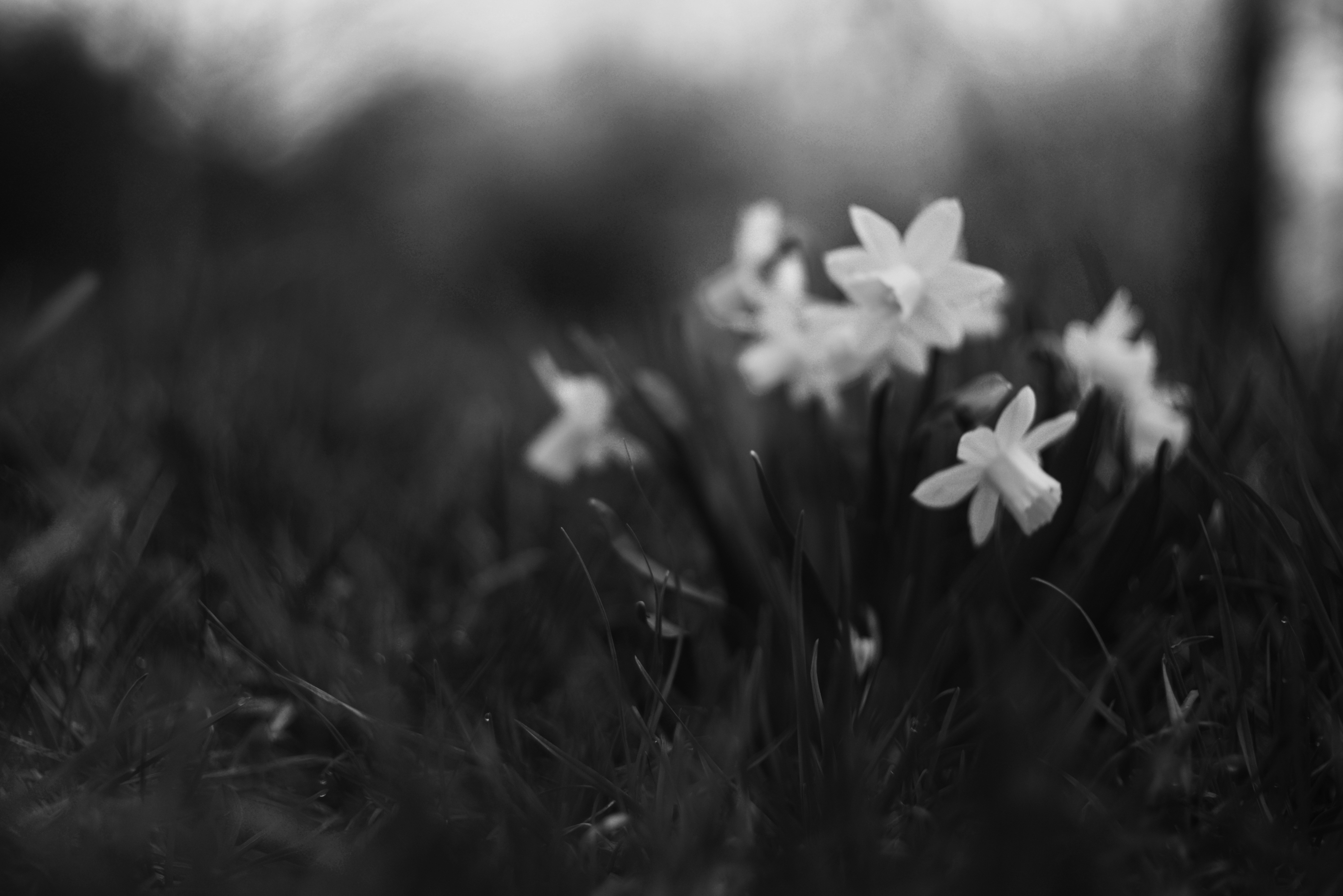 Photo by cherstve_pechivo