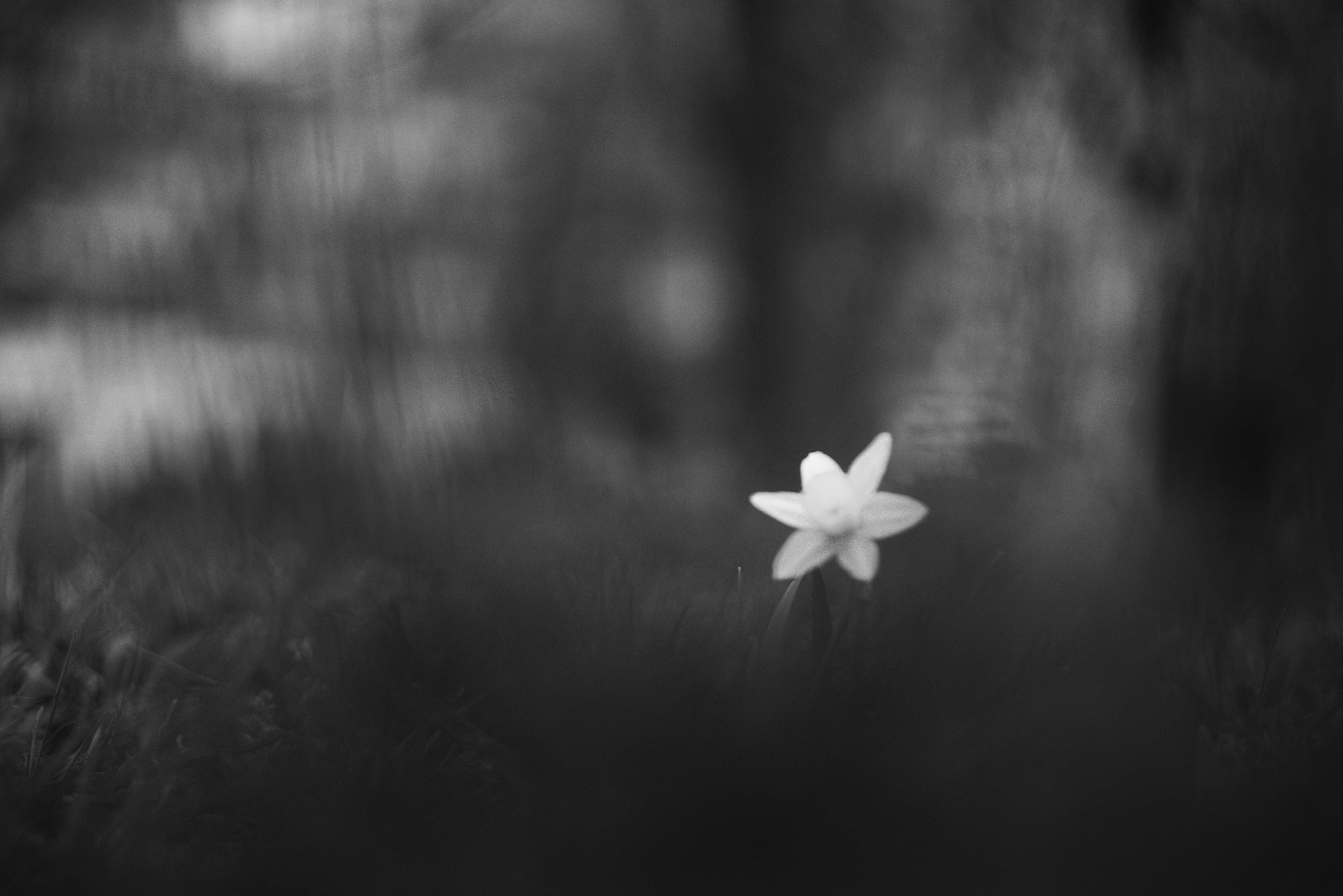 Photo by cherstve_pechivo