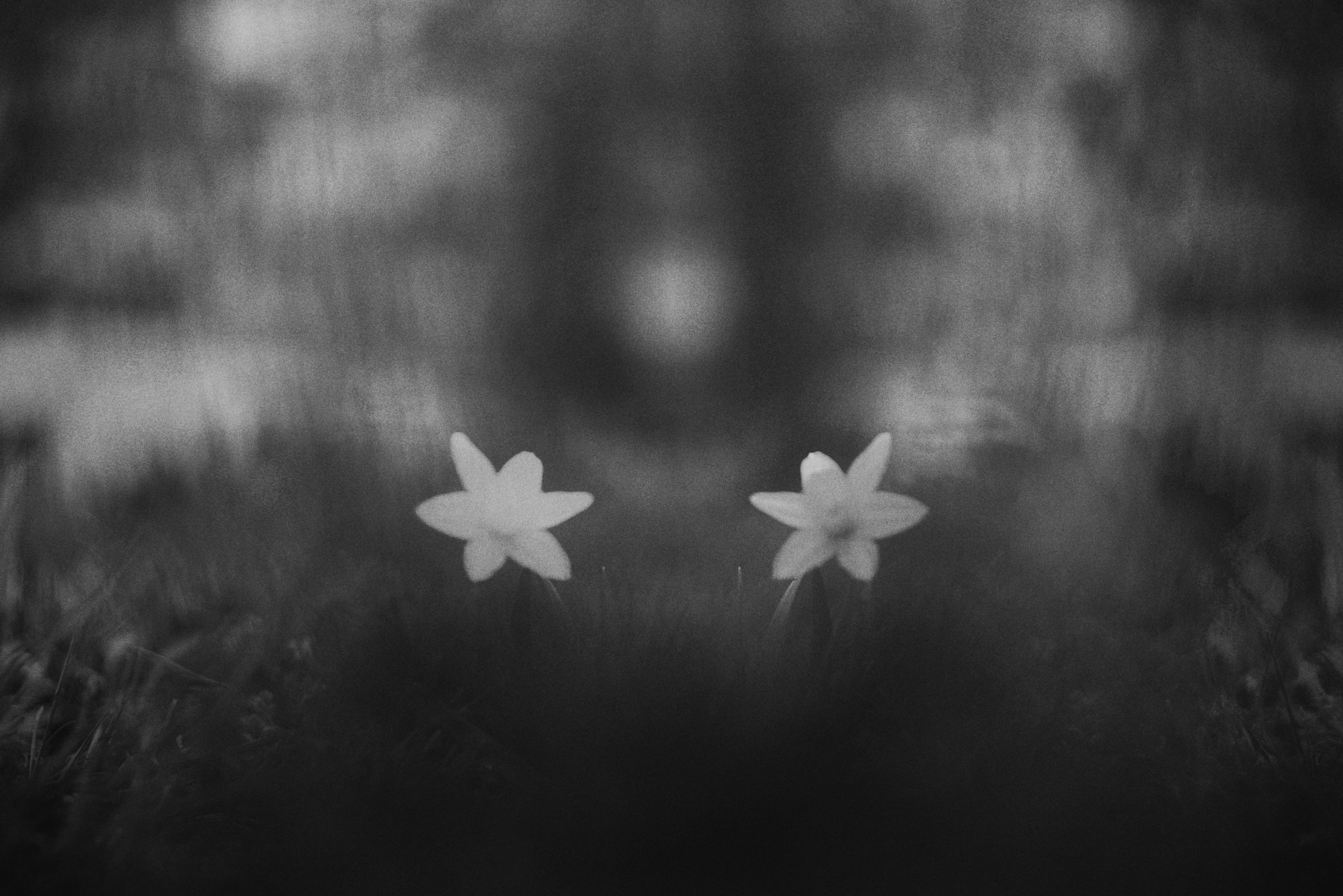 Photo by cherstve_pechivo