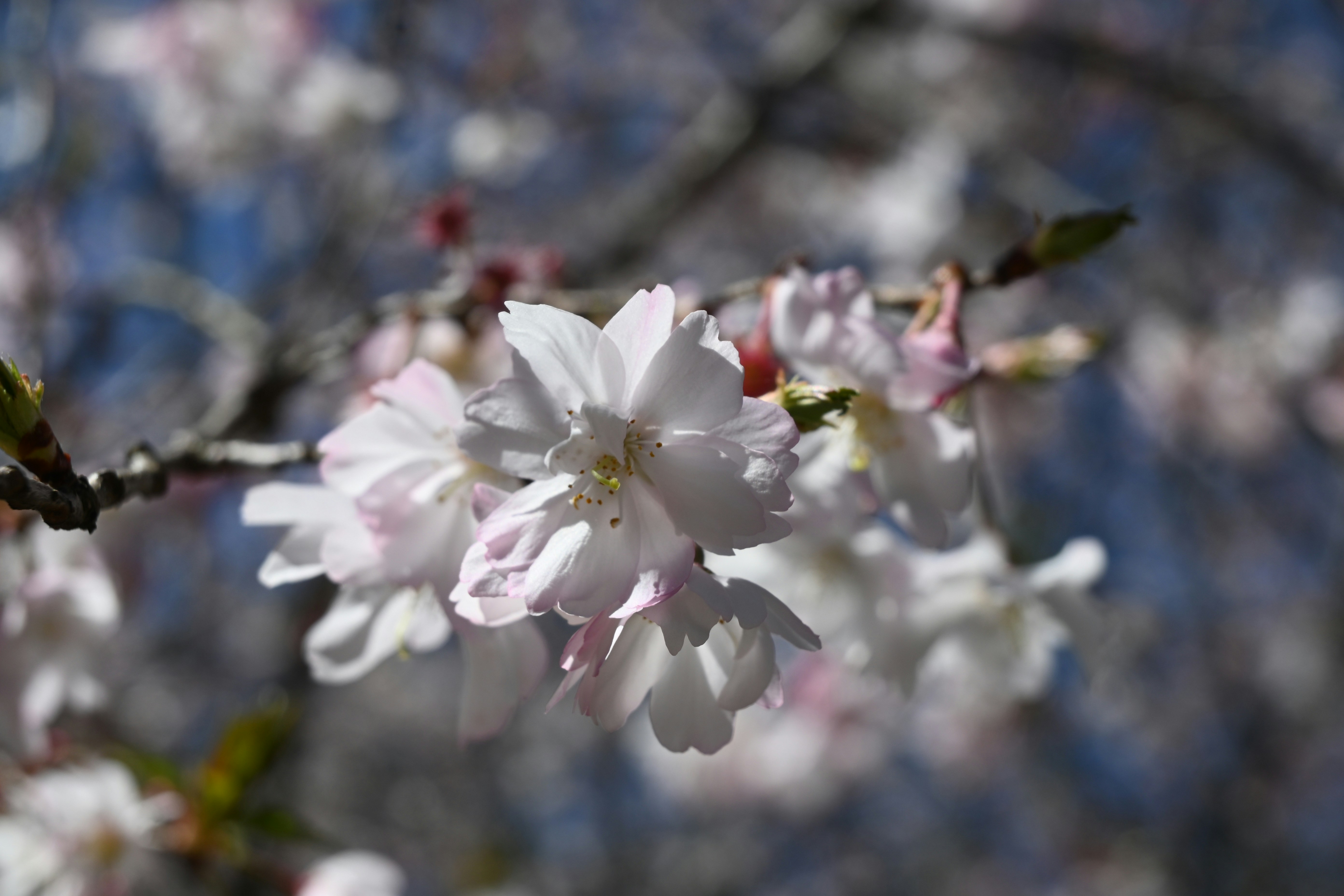 Photo by karolinabobek