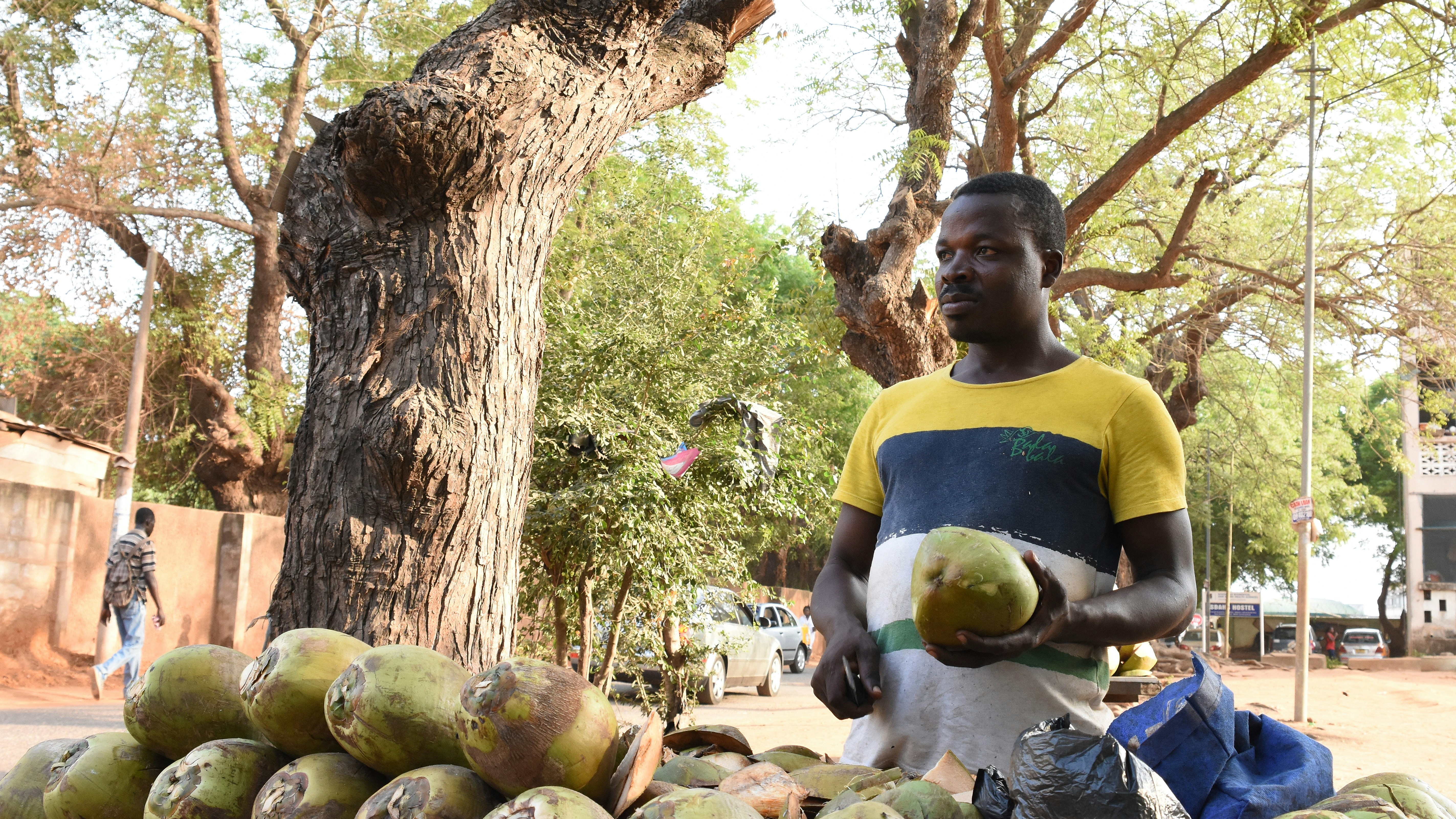 Man selling coconuts on a sunny street