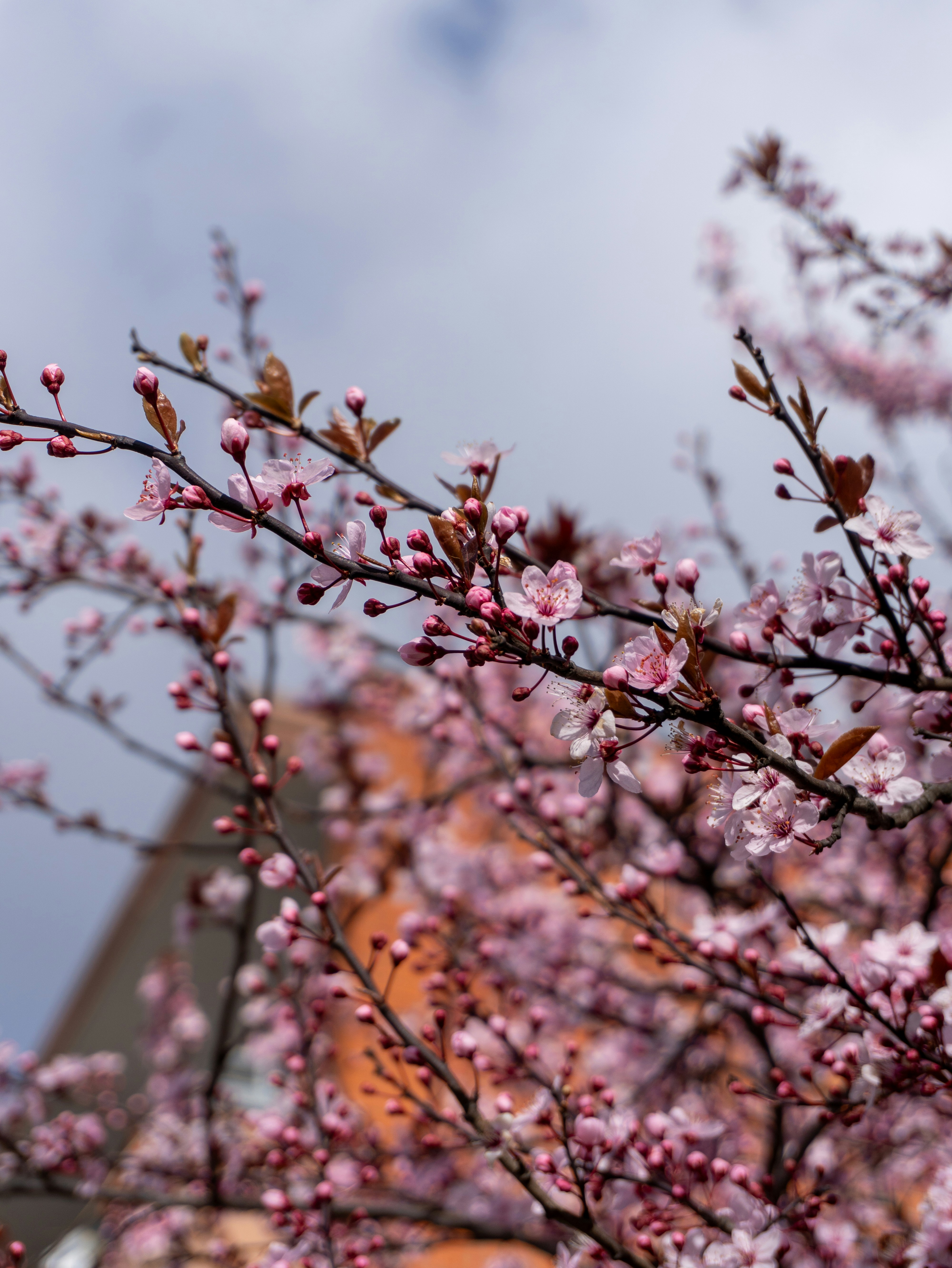 Photo by ooomatti