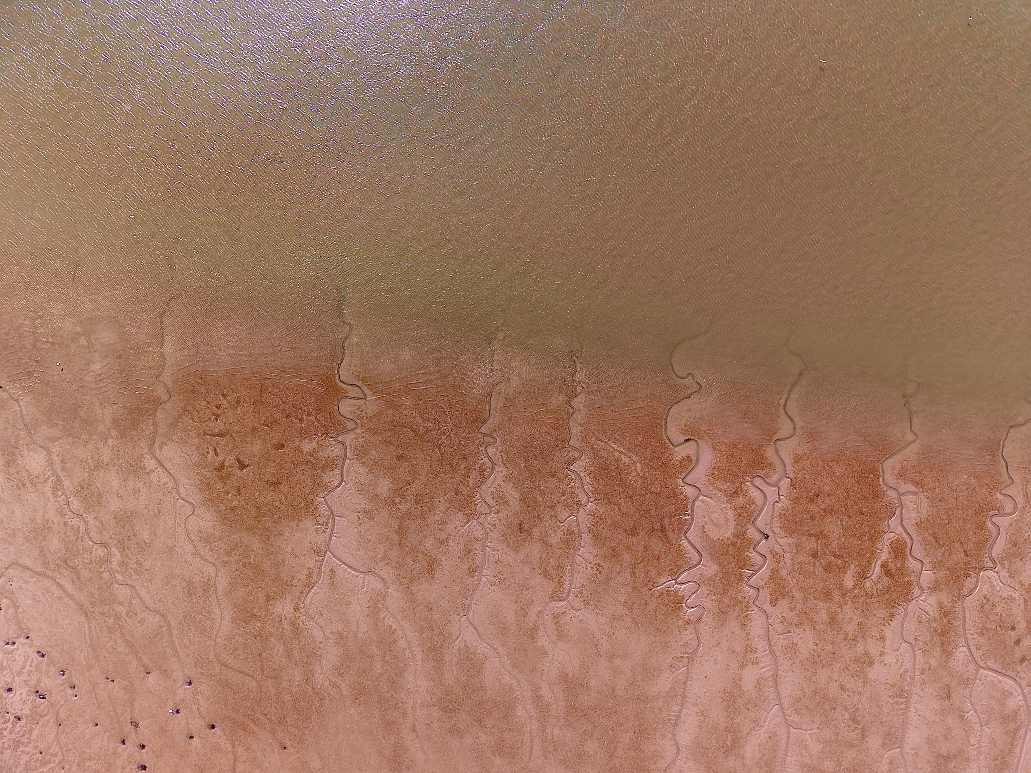 Tidal mud flat with small channels draining into brown water
