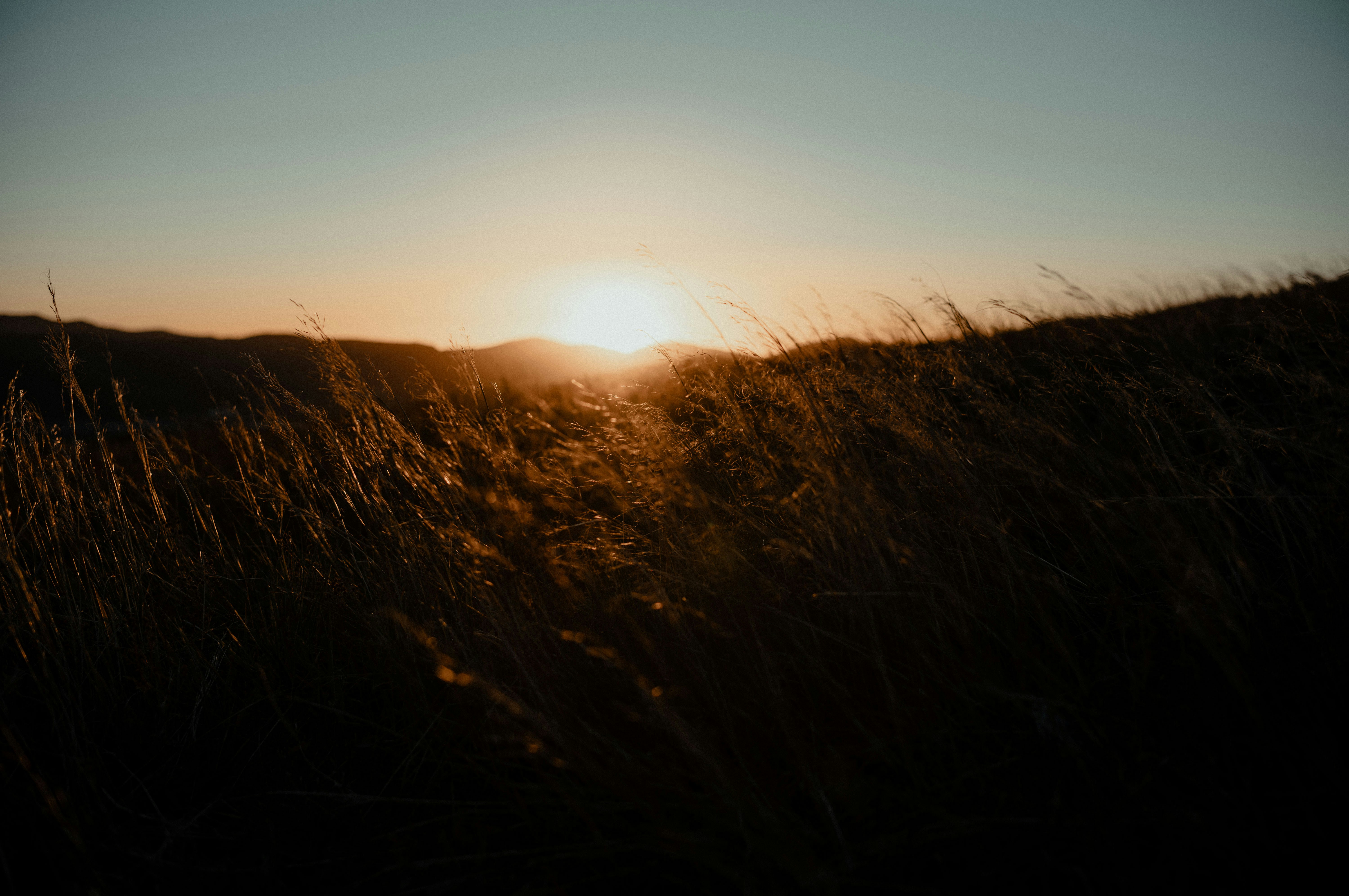 Golden sunset over a grassy field at dusk.
