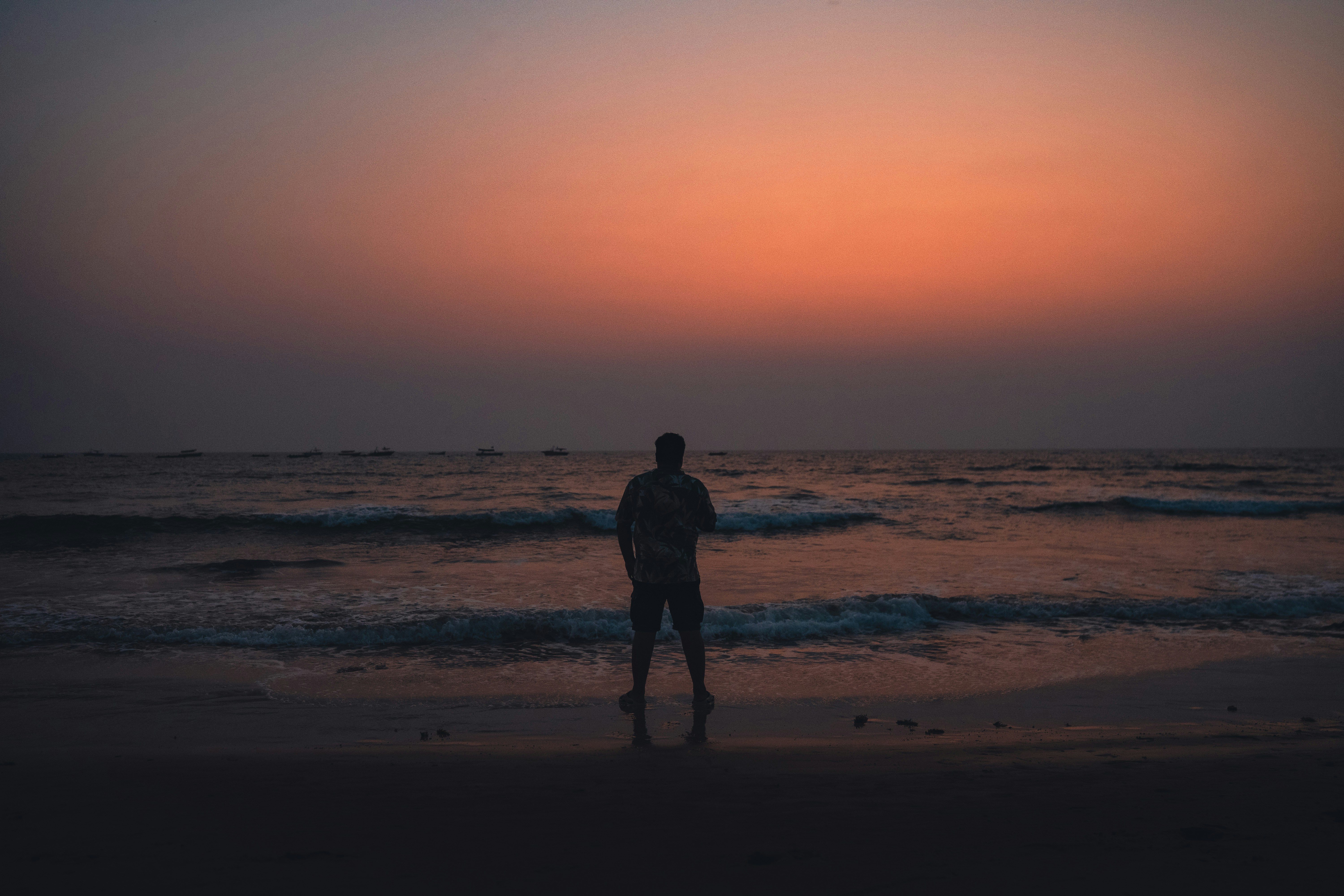 Photo by wish_species