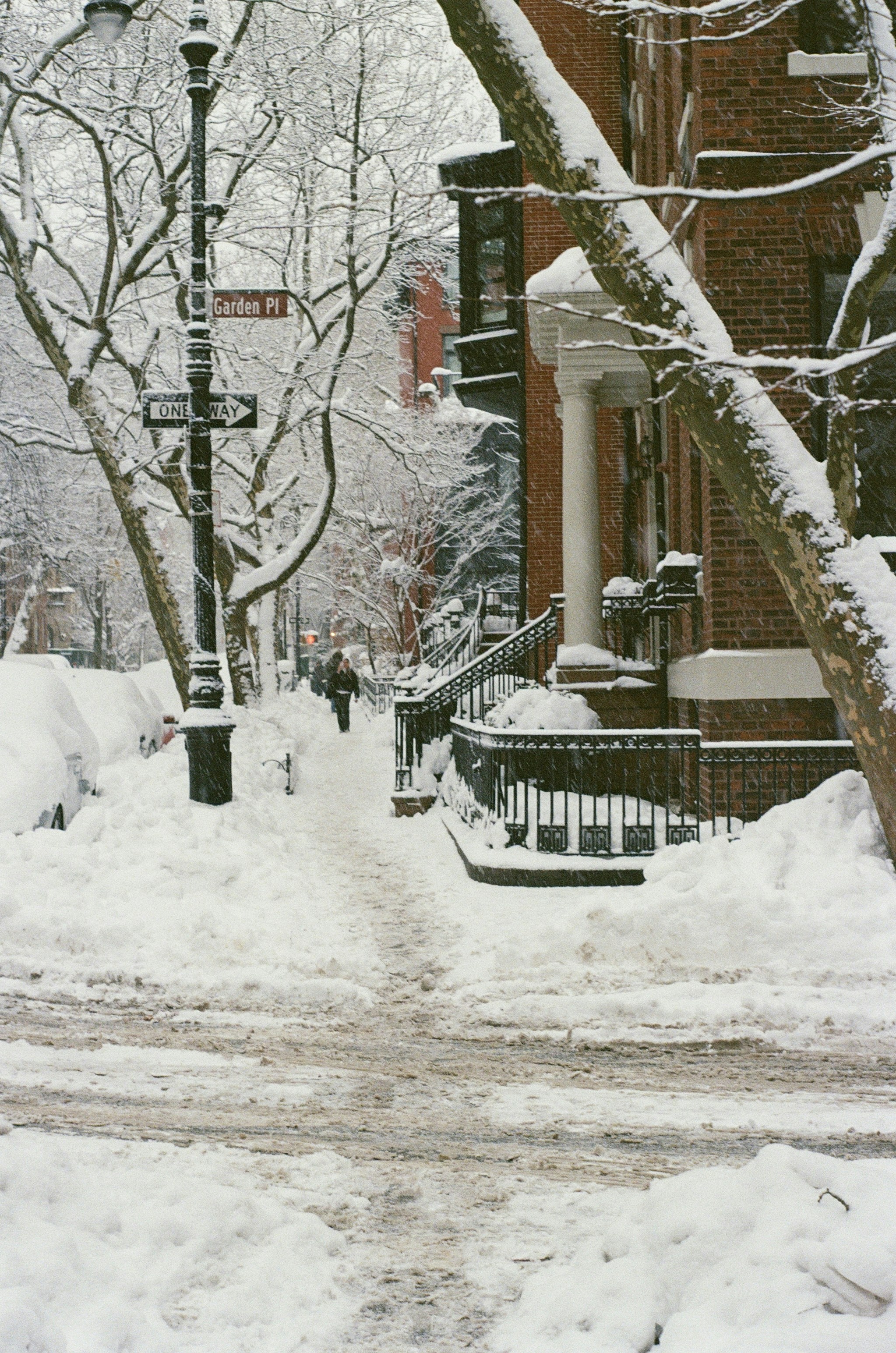 A snowy street with trees and buildings.