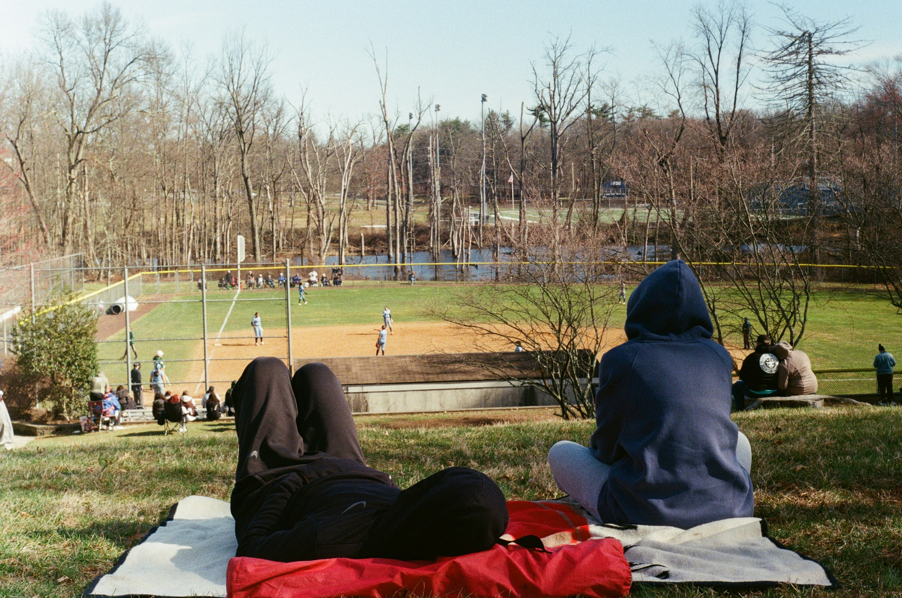 Thornwood Preserve