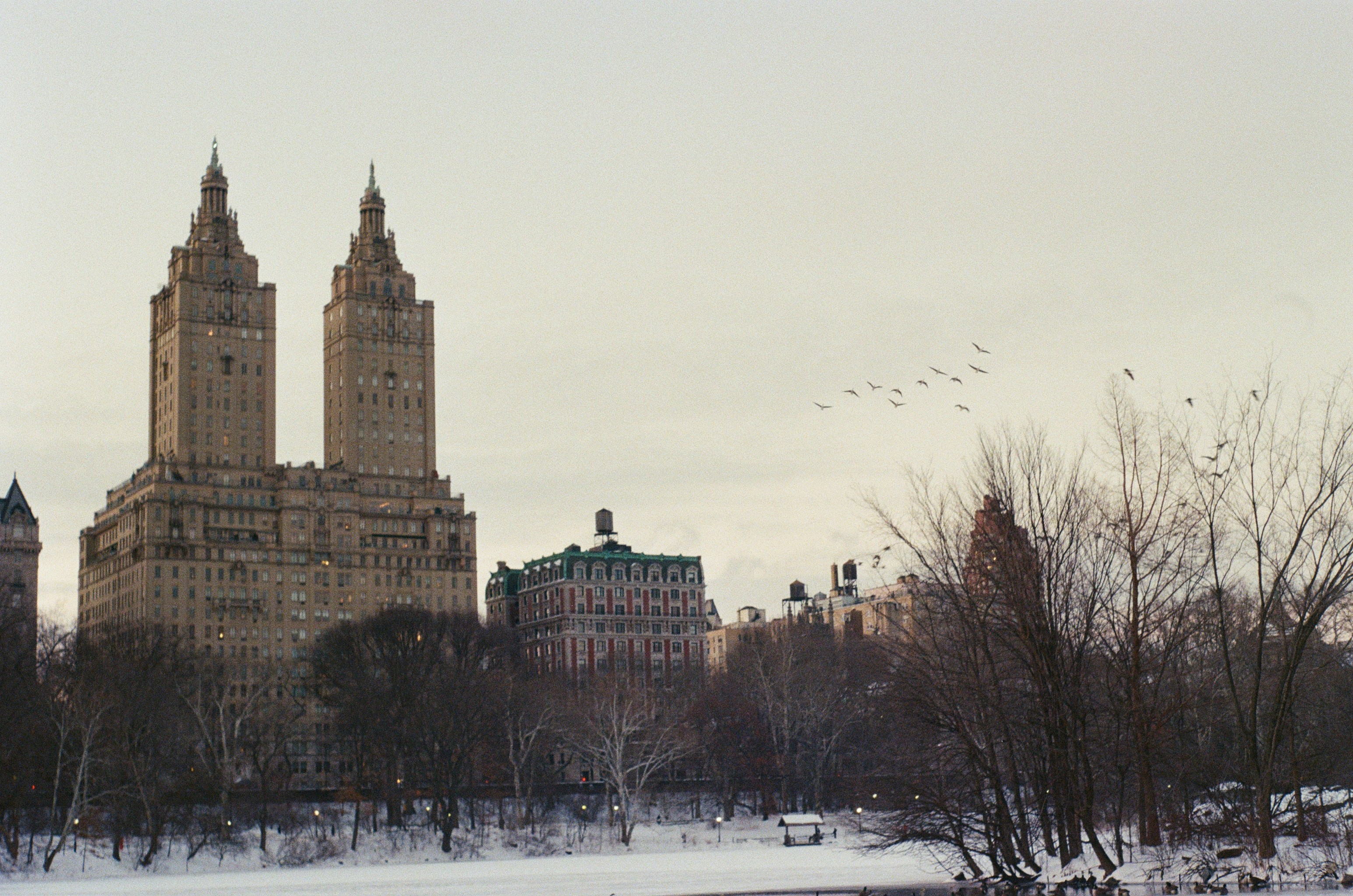 Twin towers rise above a wintery cityscape with birds flying.