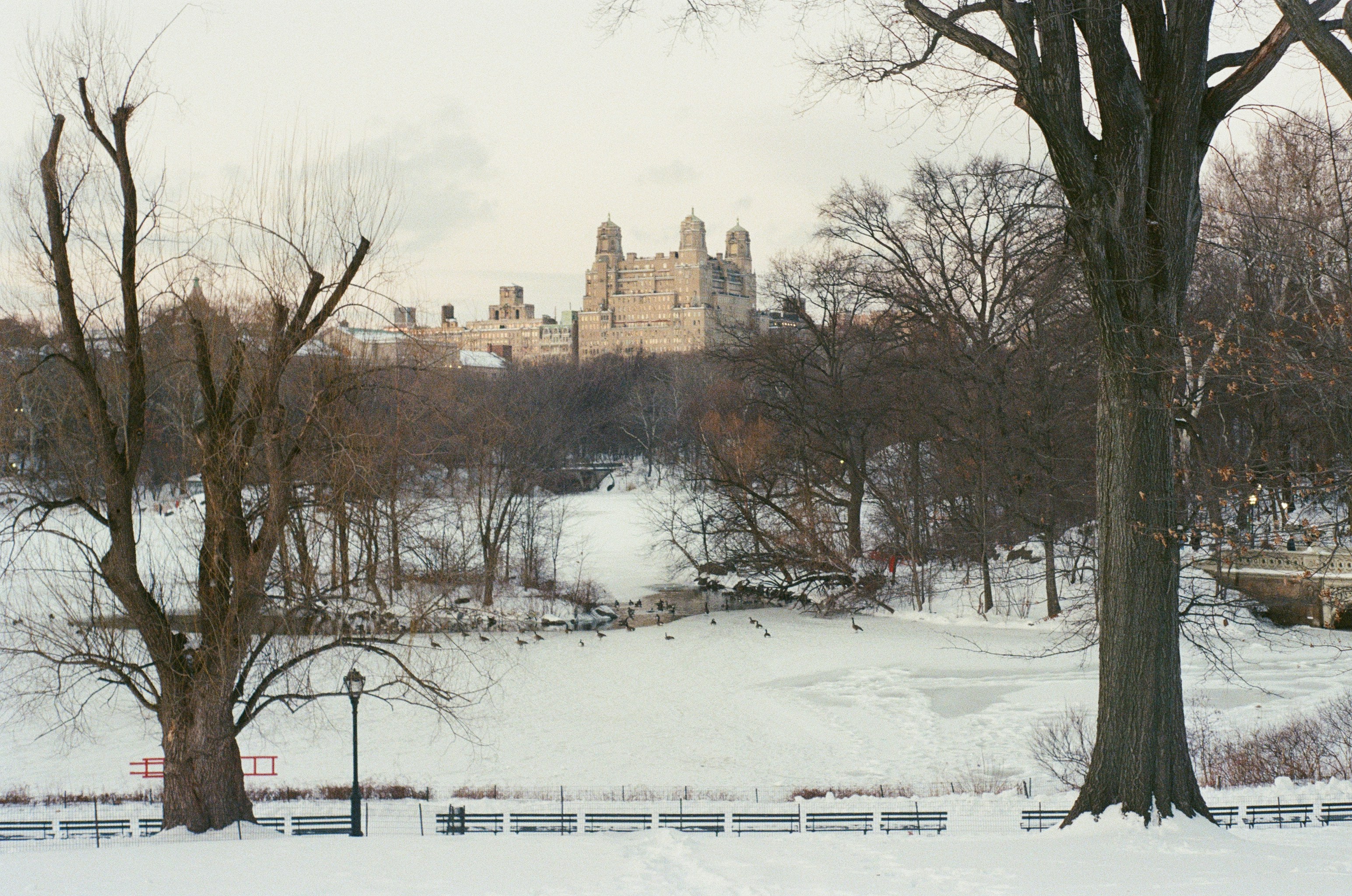 Snowy park with distant building on hill