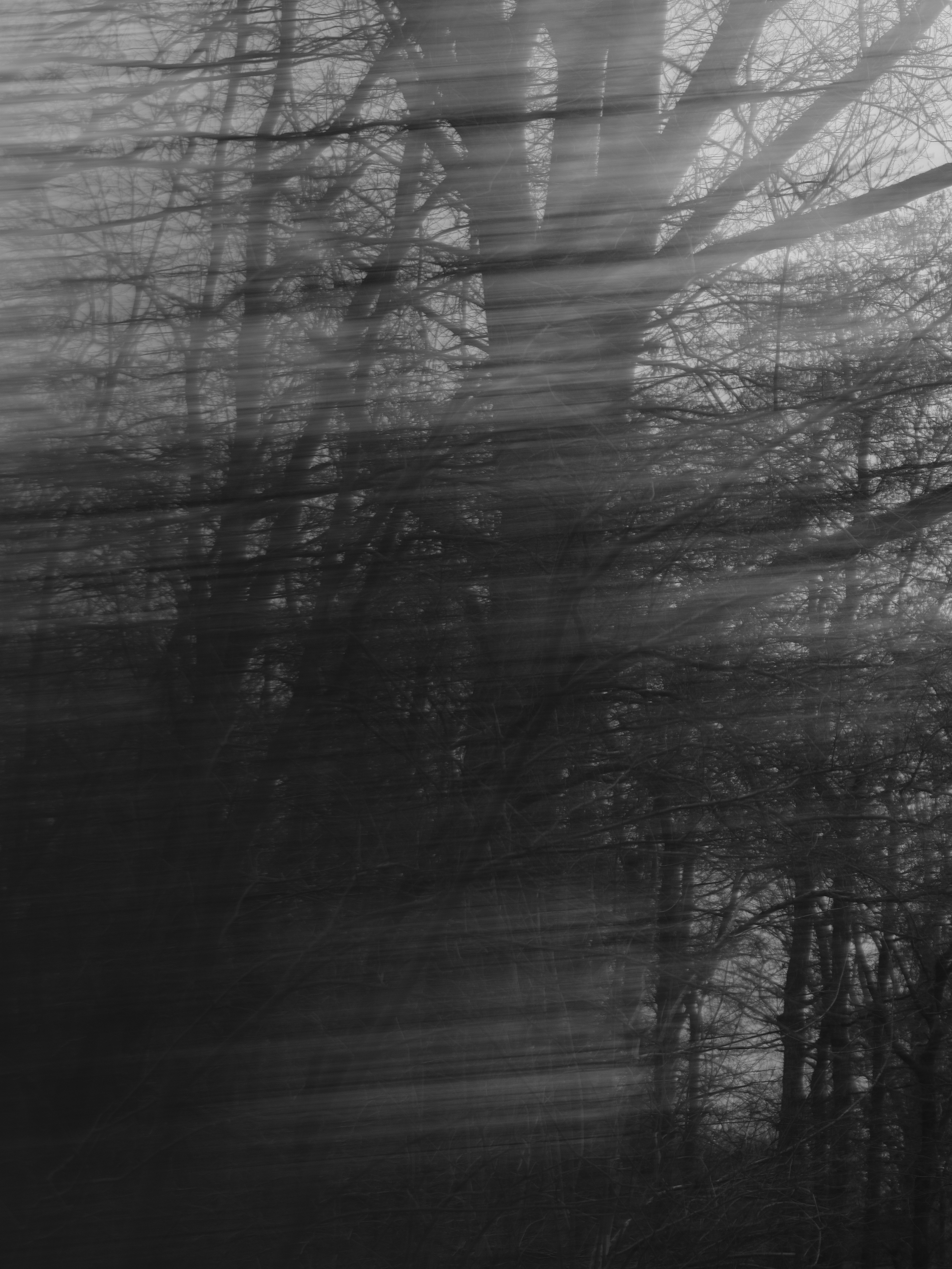 Photo by haberdoedas