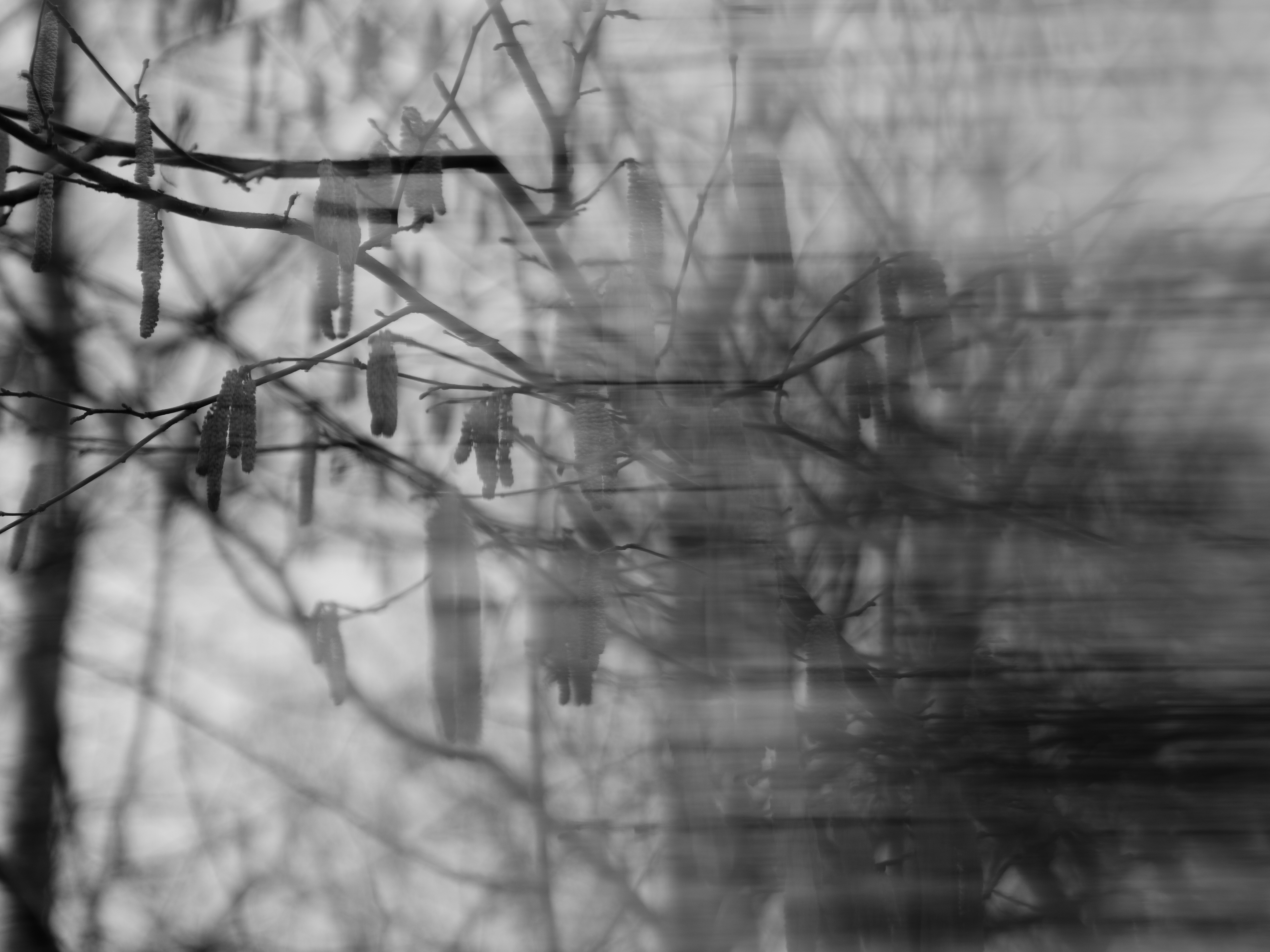 Photo by haberdoedas