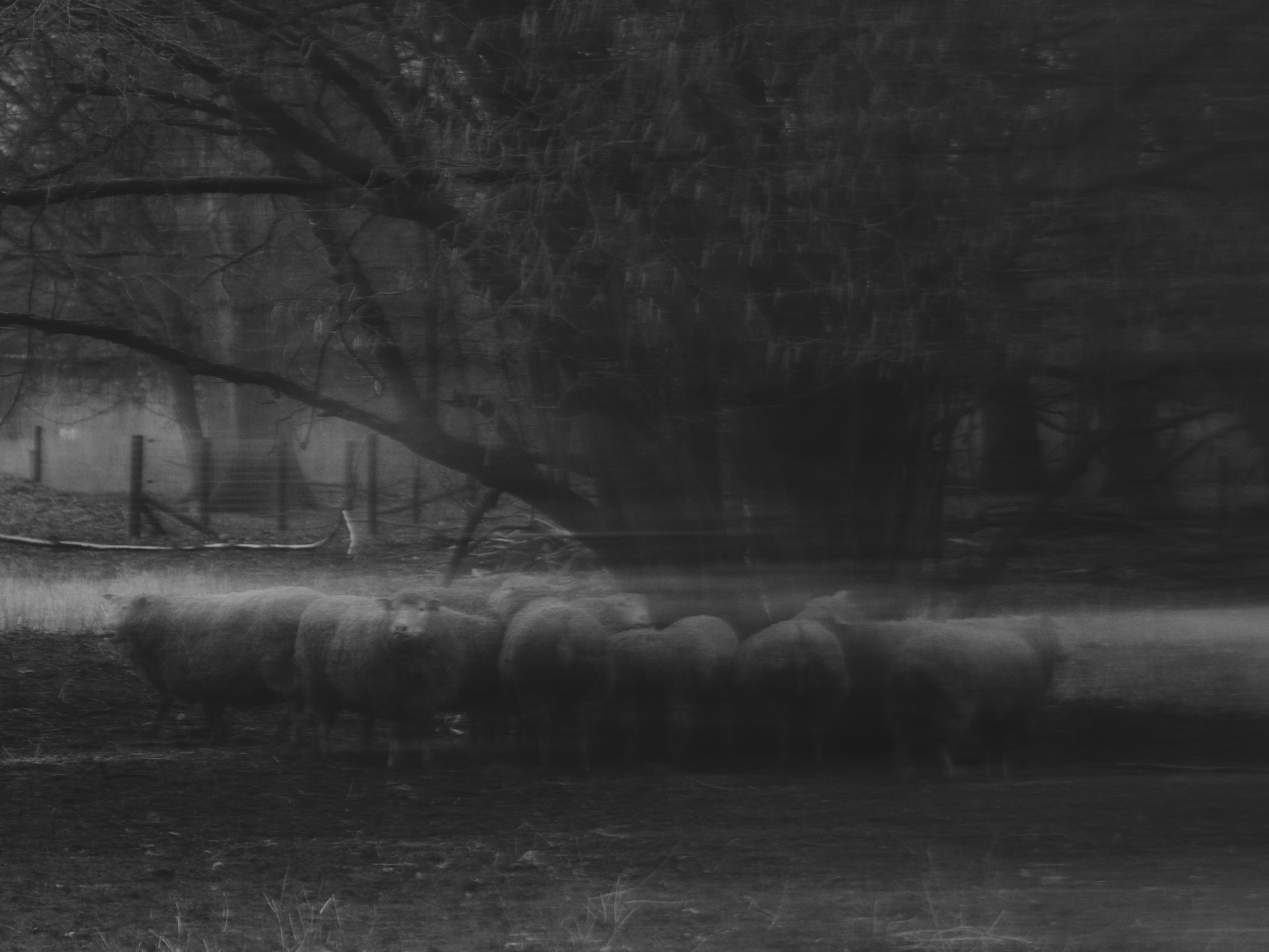 Photo by haberdoedas