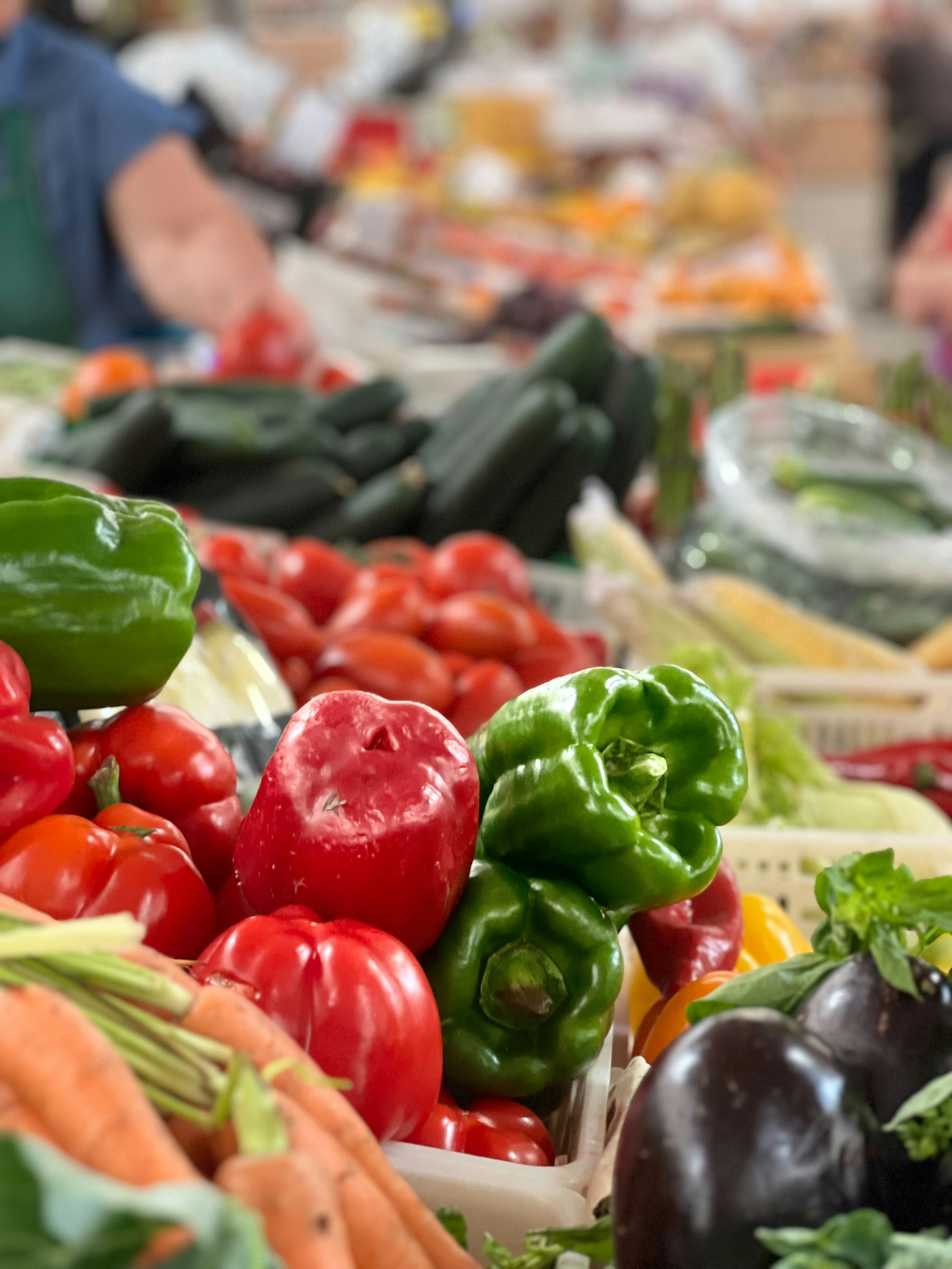 Photo by lynnbenyousef