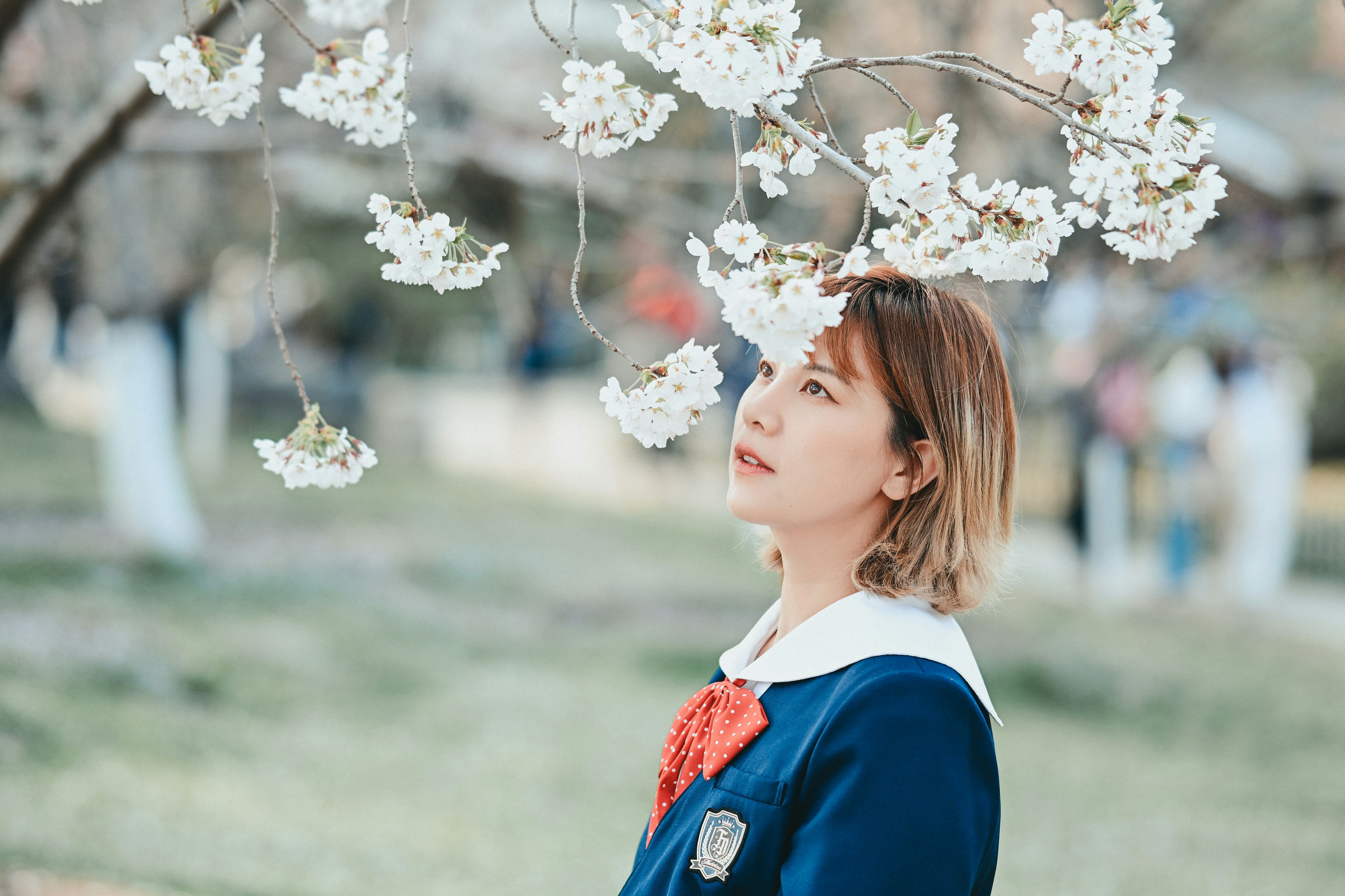 Wanita menatap bunga sakura yang mekar
