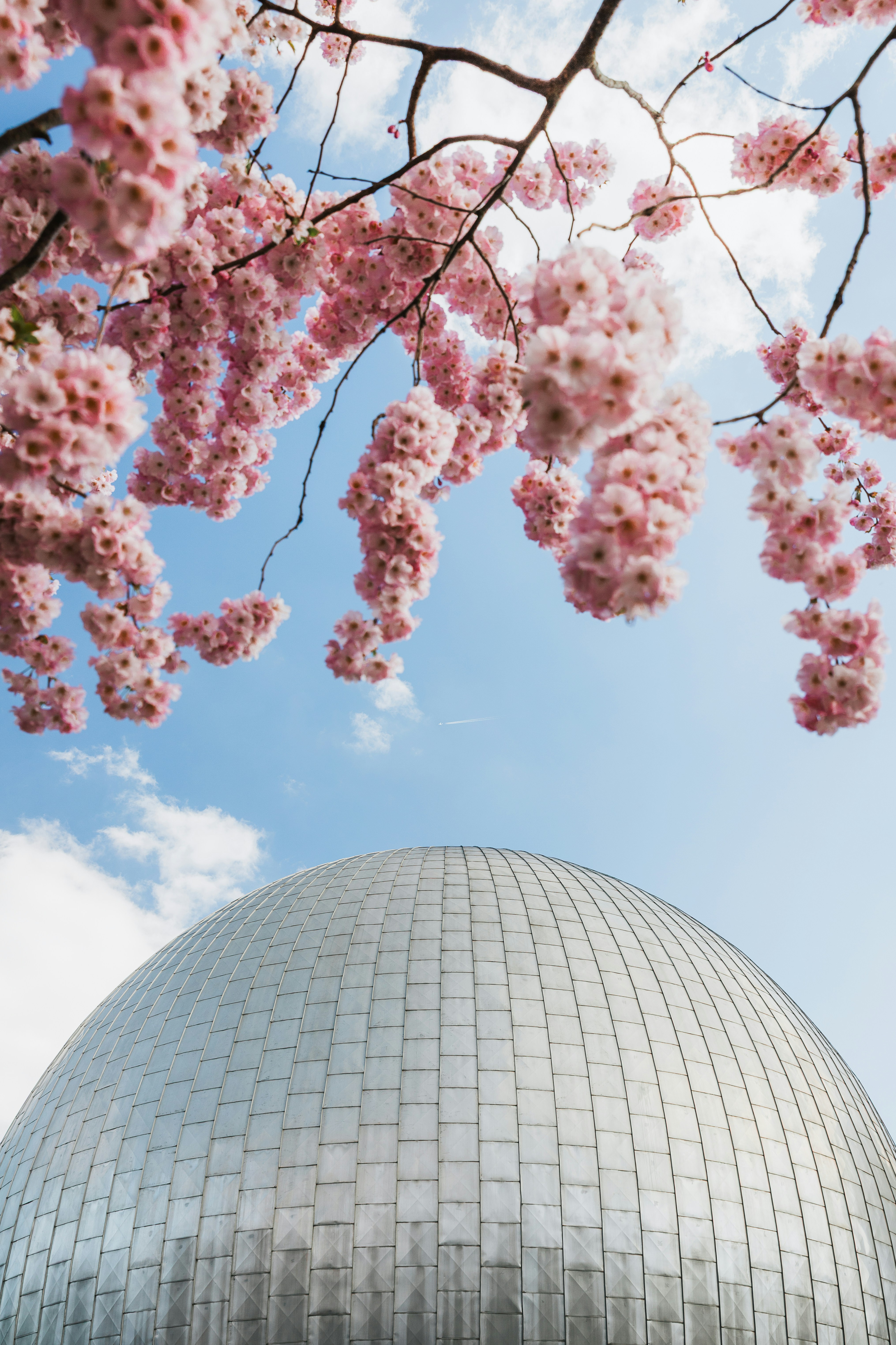 Photo by nikita_pishchugin