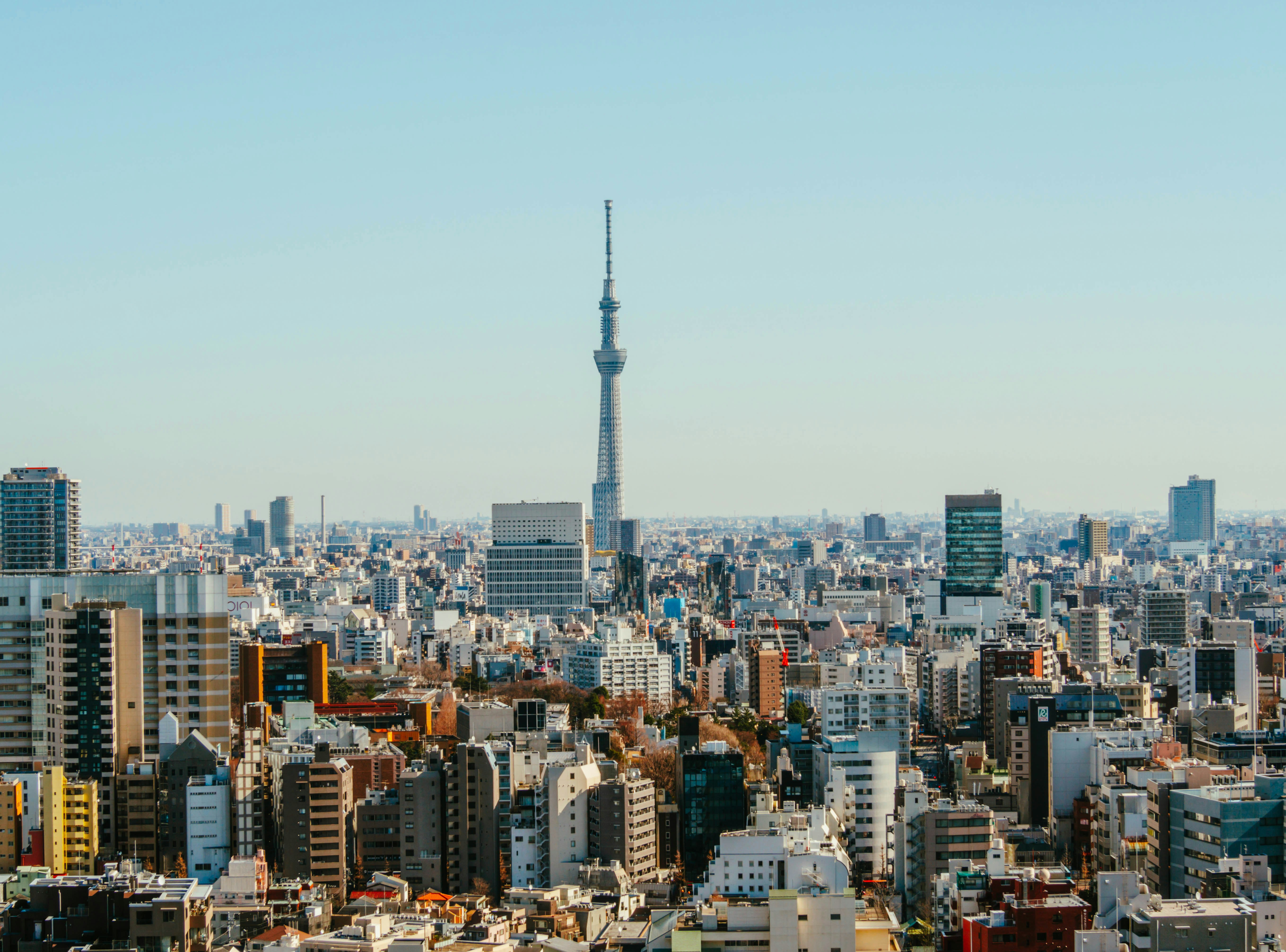 Tokyo skyline and wellness