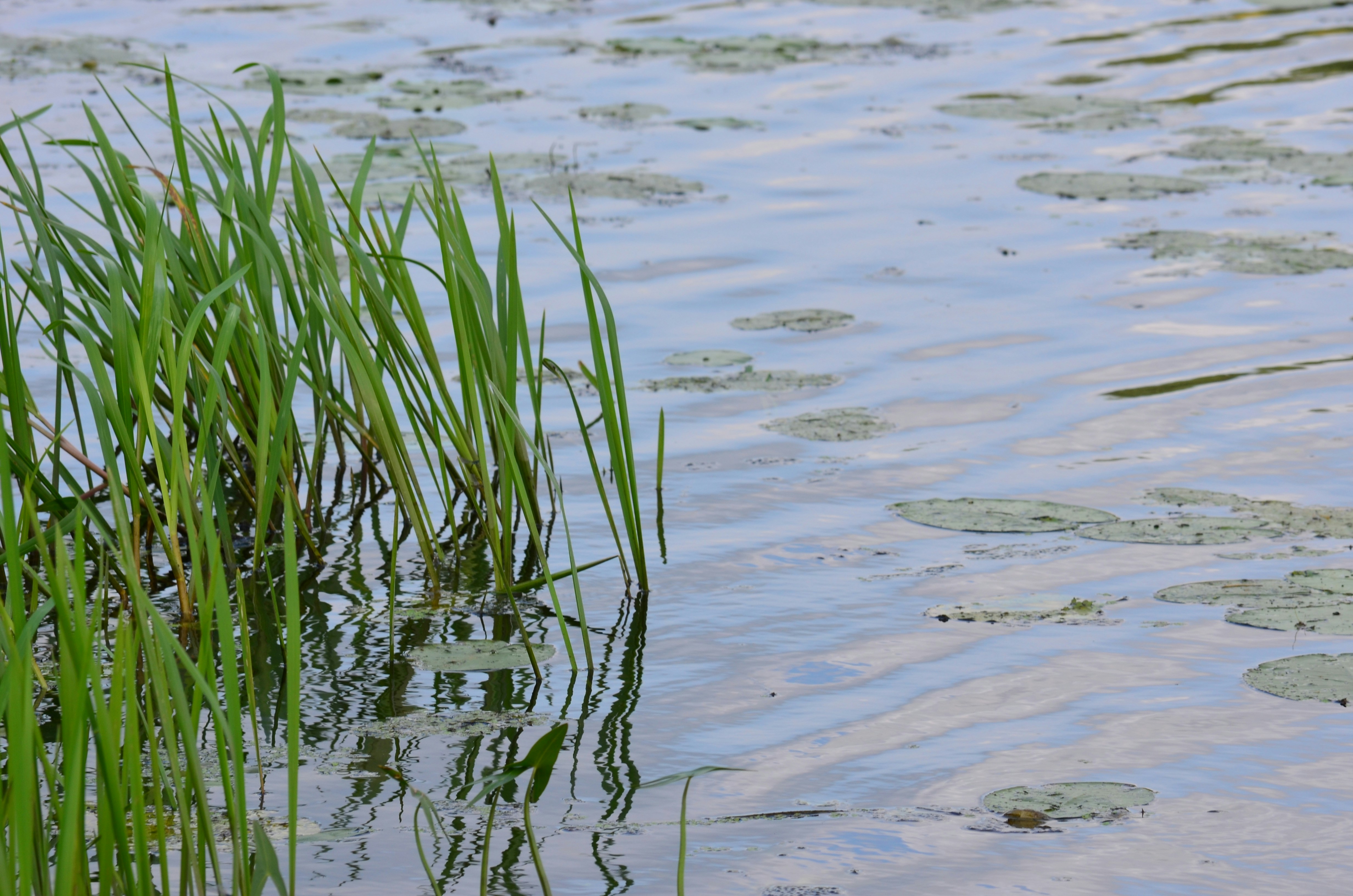 Photo by alex_chernin