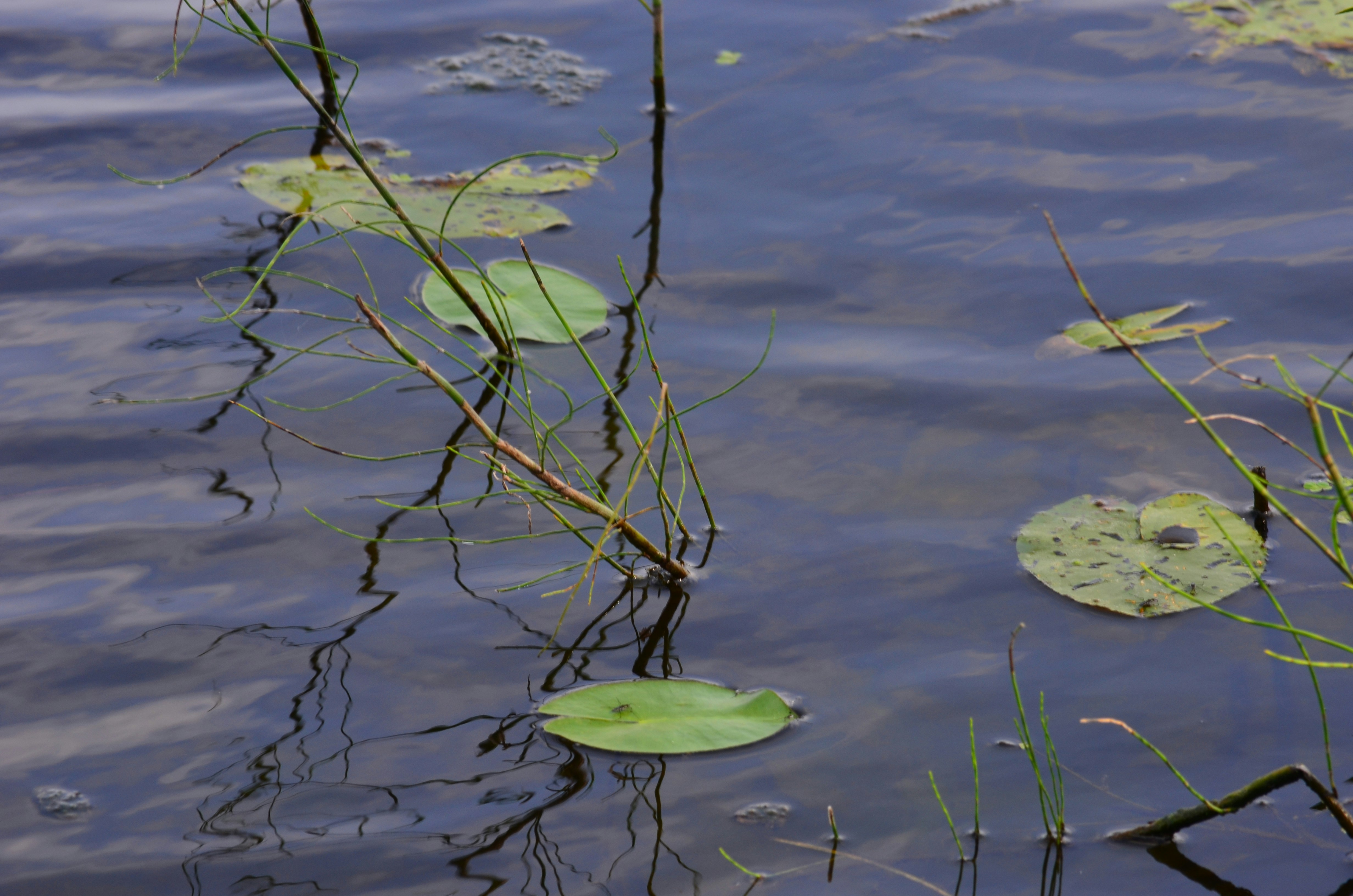 Photo by alex_chernin