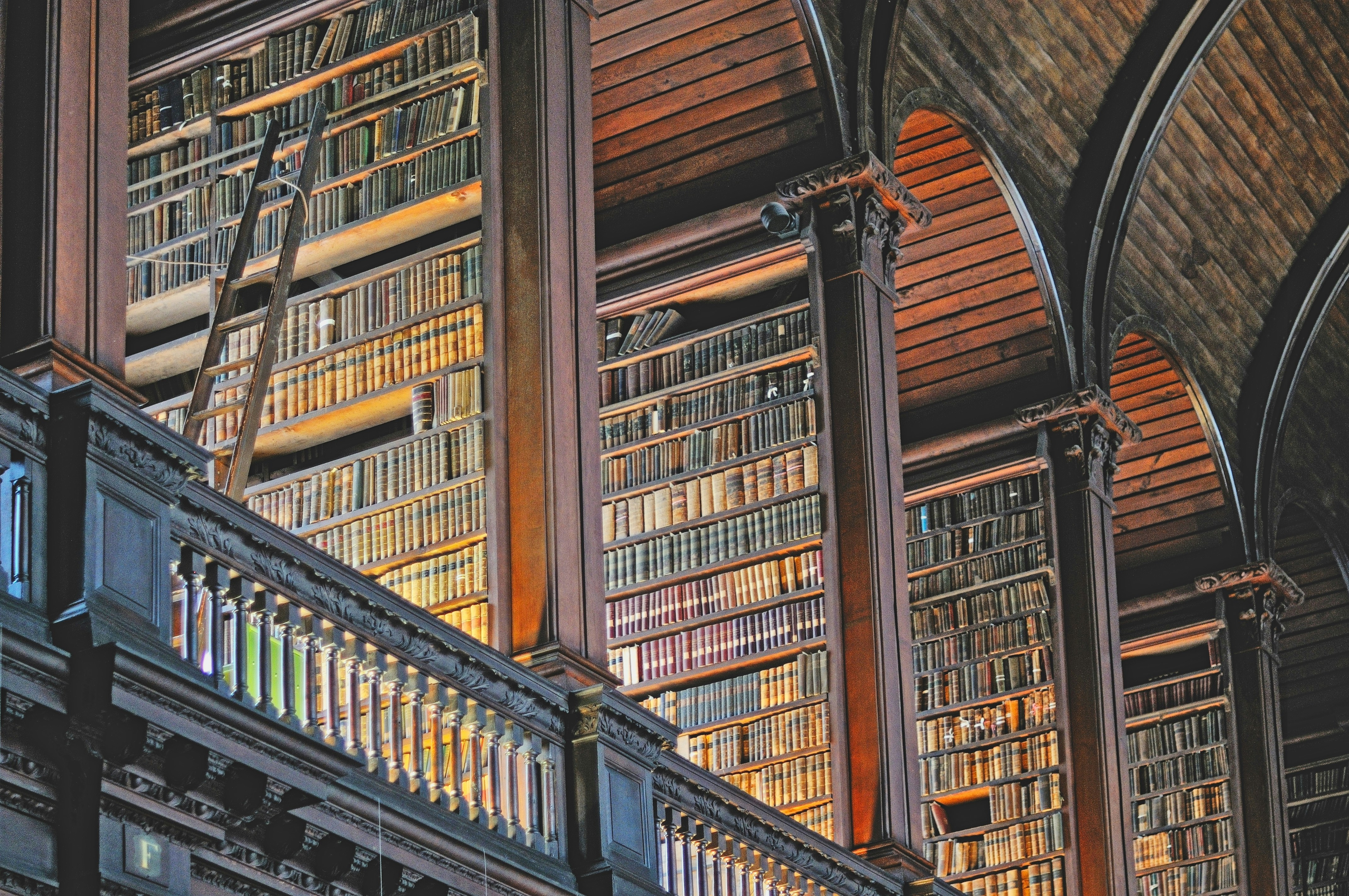 Rows of old books fill tall library shelves
