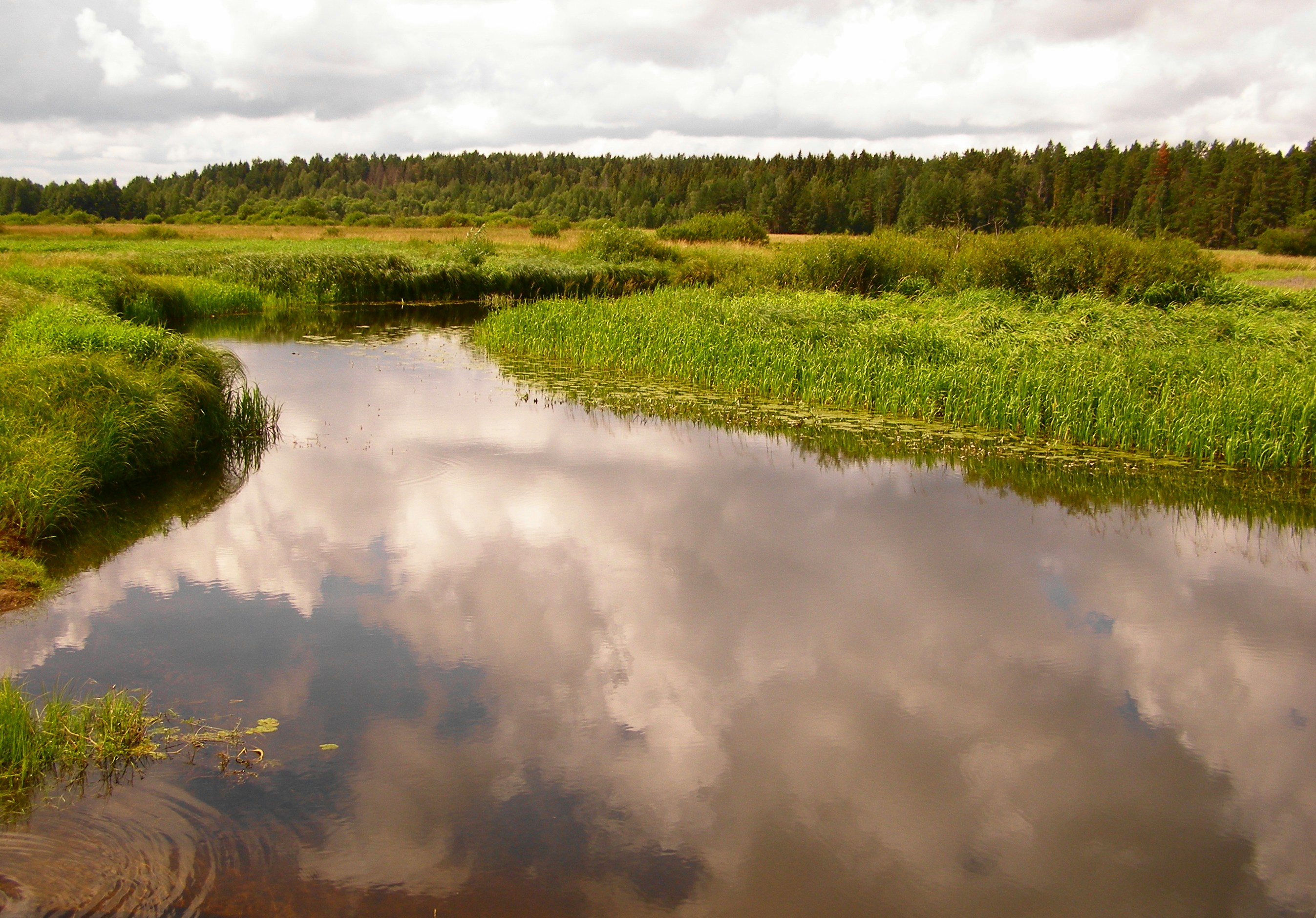 Photo by alex_chernin