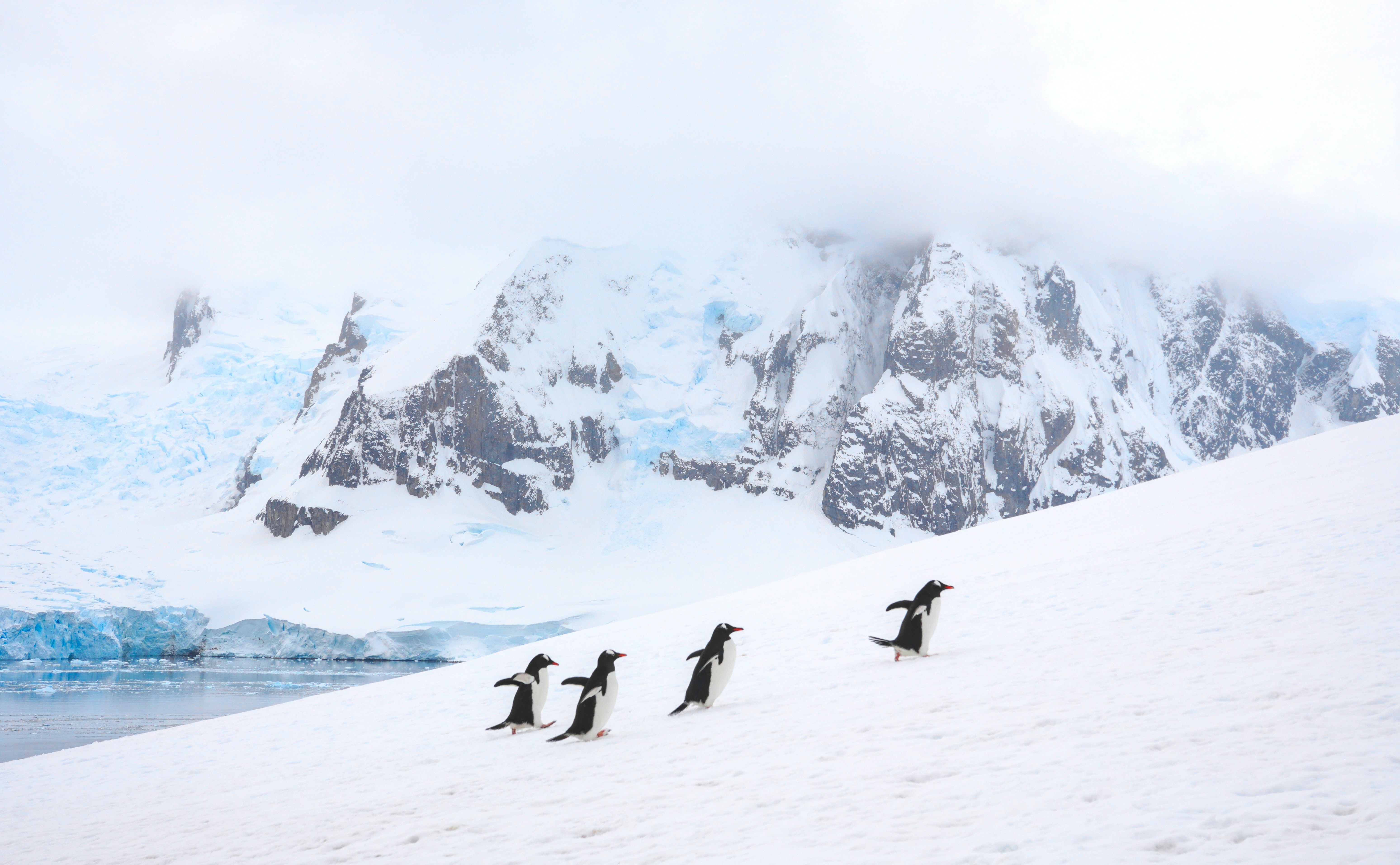 Photo by jotavandeiri